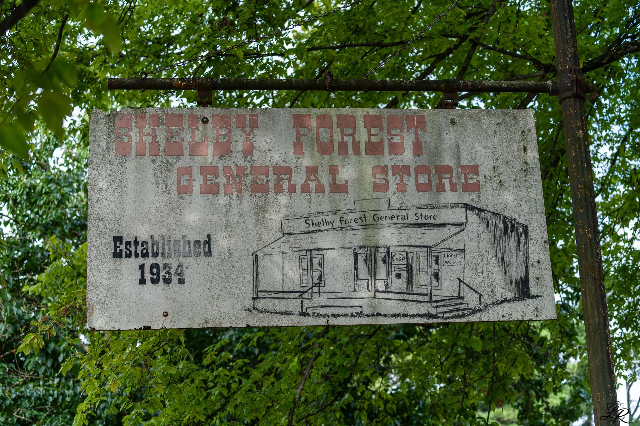 An old, weathered sign for Shelby Forest General Store surrounded by green leafy trees. The sign indicates the store was established in 1934 and contains a simple illustration of the store's front.