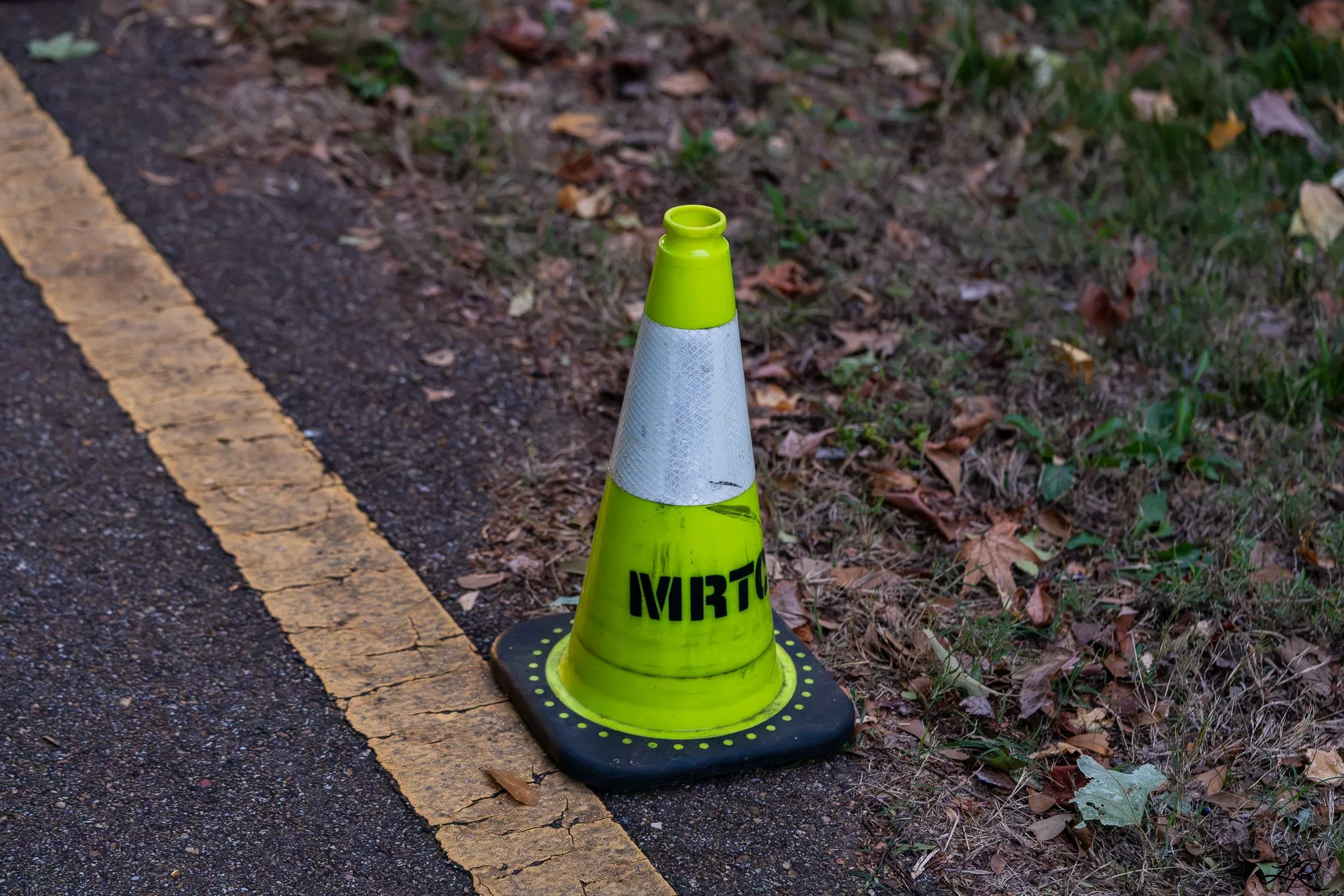 MRTC 2nd10Miler-019.jpg