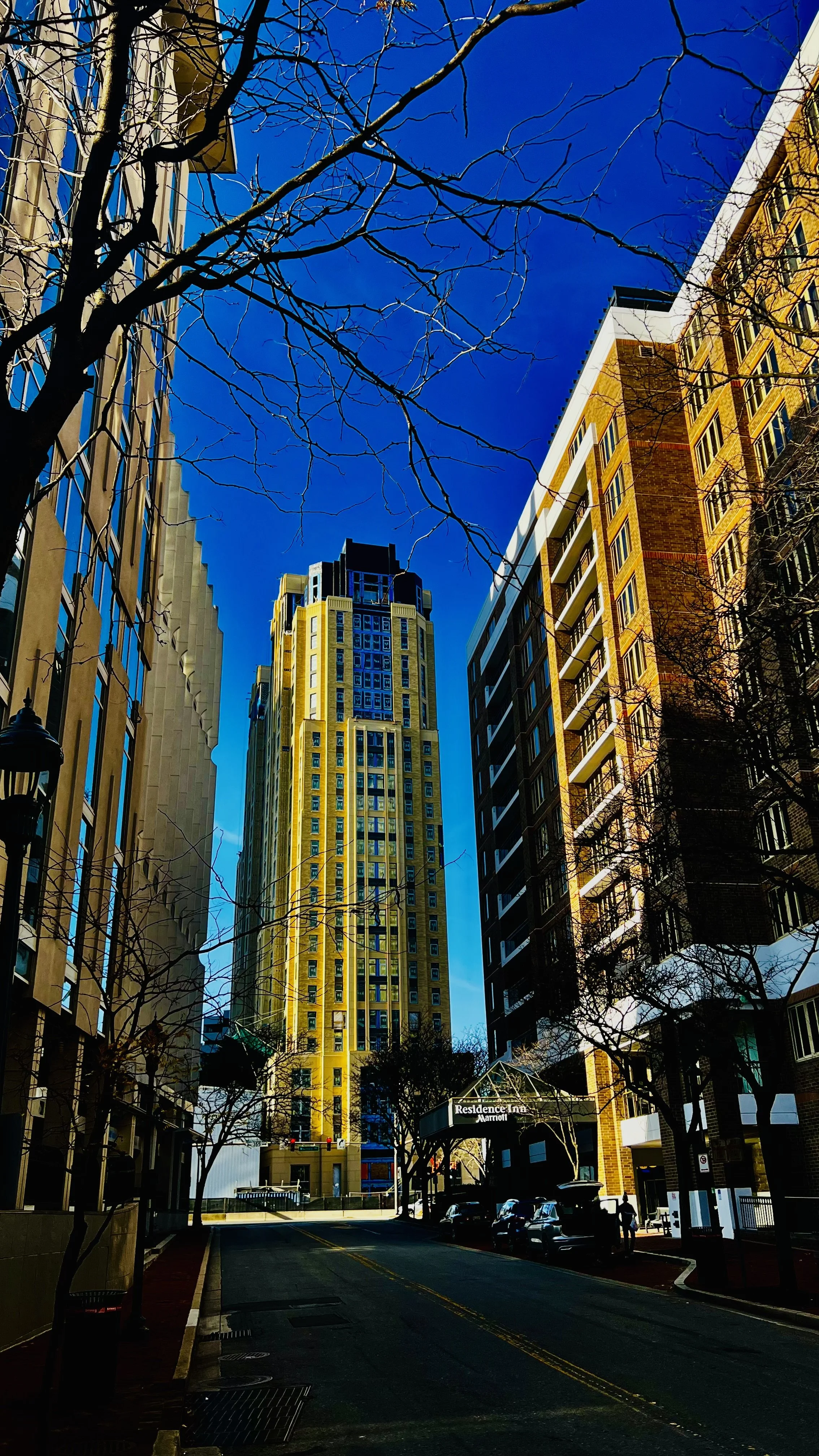View of tall buildings on a city street with a clear blue sky and leafless trees in the foreground.
