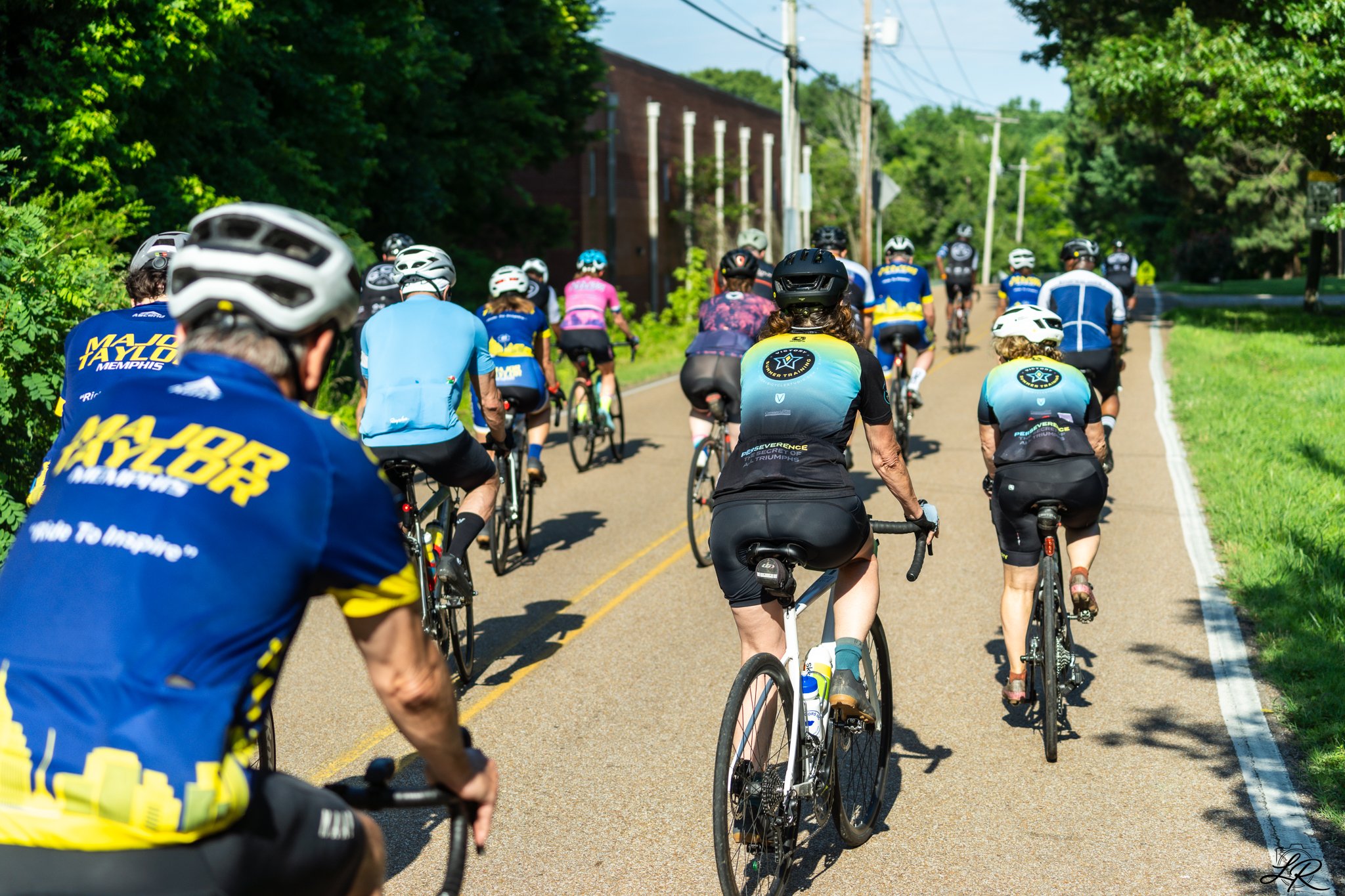 Group of people riding bicycles on a sunny rural road surrounded by greenery and trees.