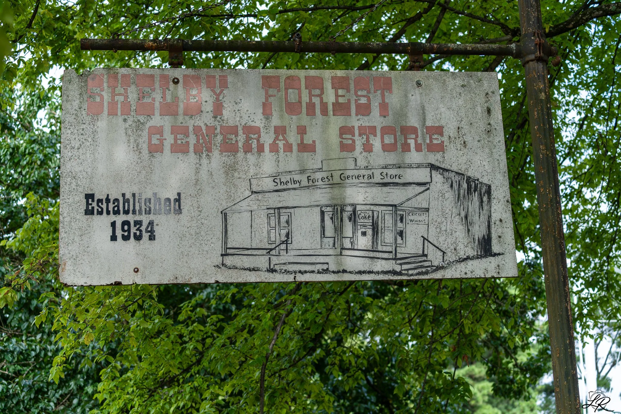 An aged, weathered sign for Shelby Forest General Store, established in 1934, with some parts of the sign damaged or faded, surrounded by green tree leaves.