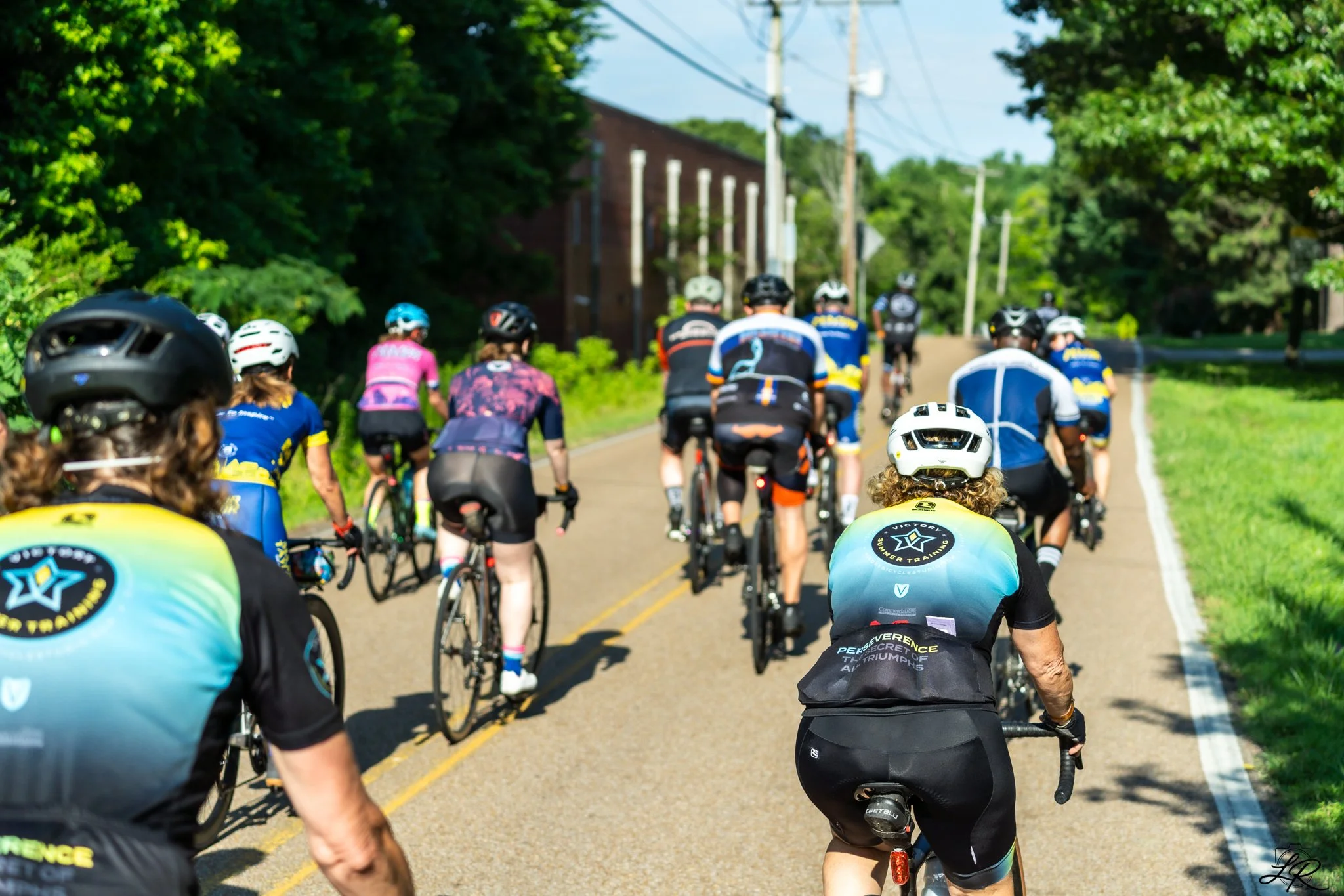 A group of cyclists riding on a rural road surrounded by green trees and utility poles.