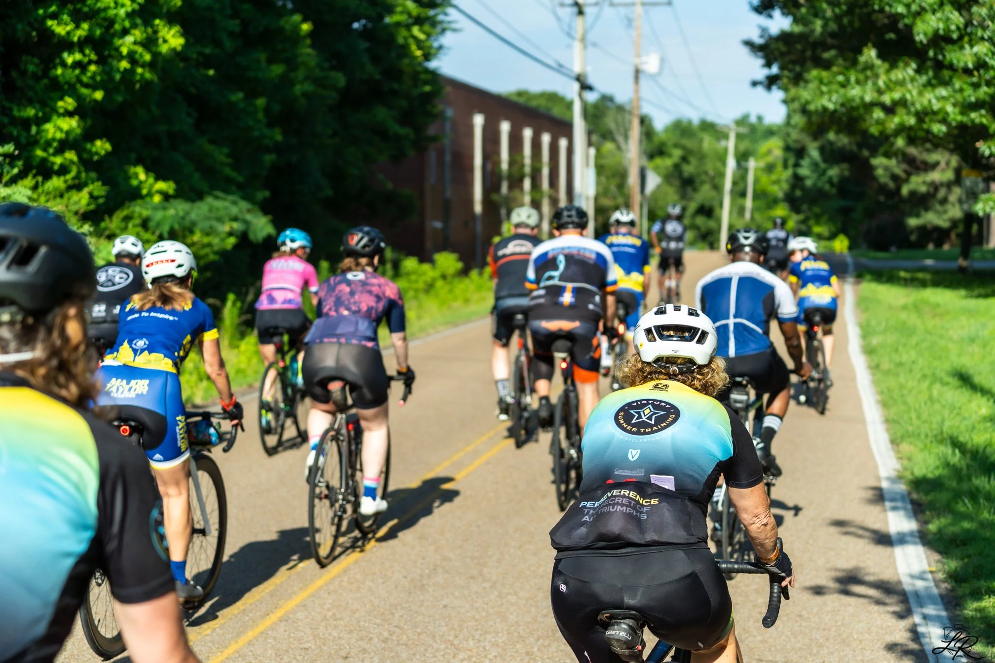 A group of cyclists riding on a rural road surrounded by green trees and power lines.