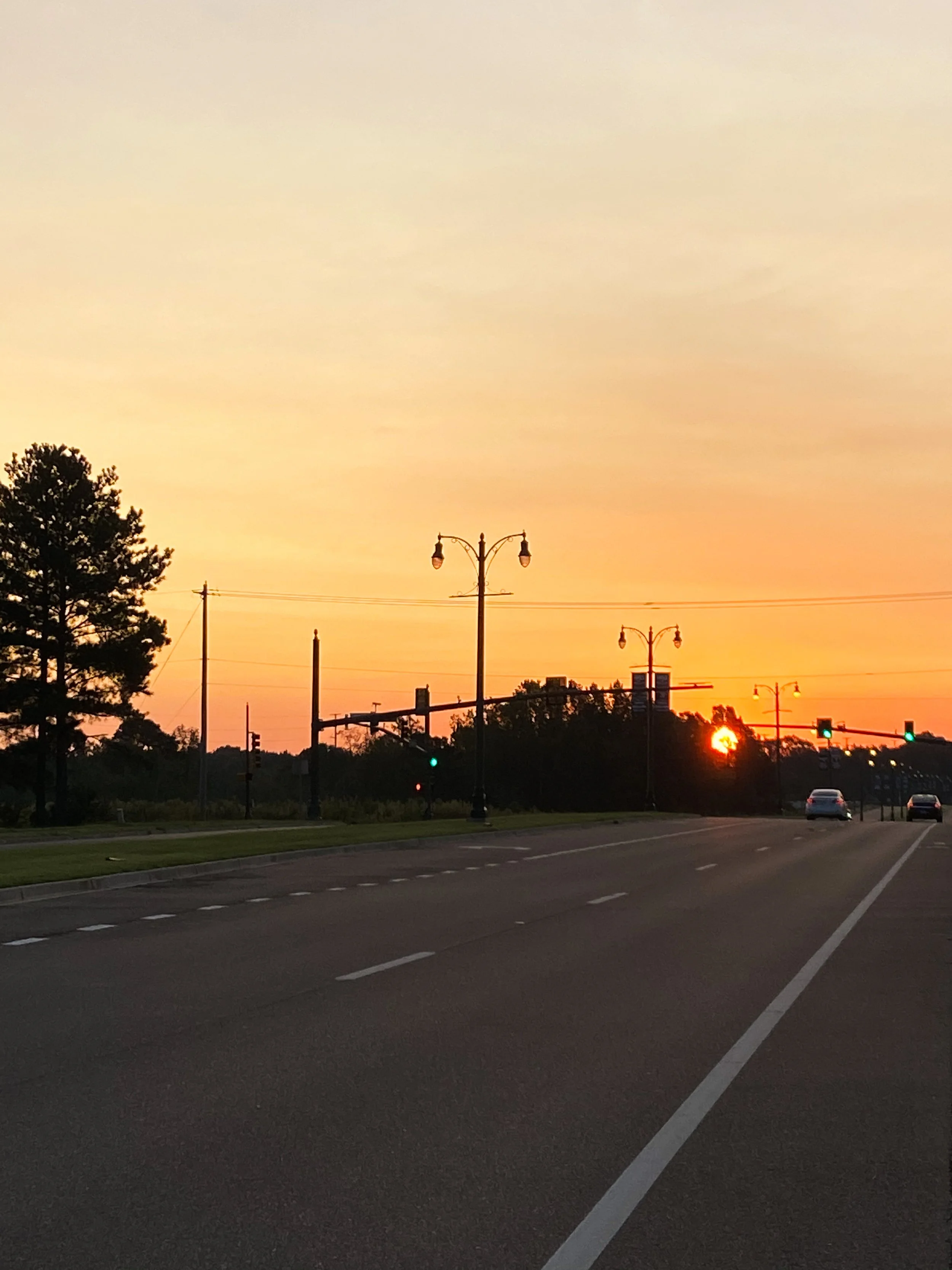 Sunset over a road with cars, streetlights, and trees in the background.