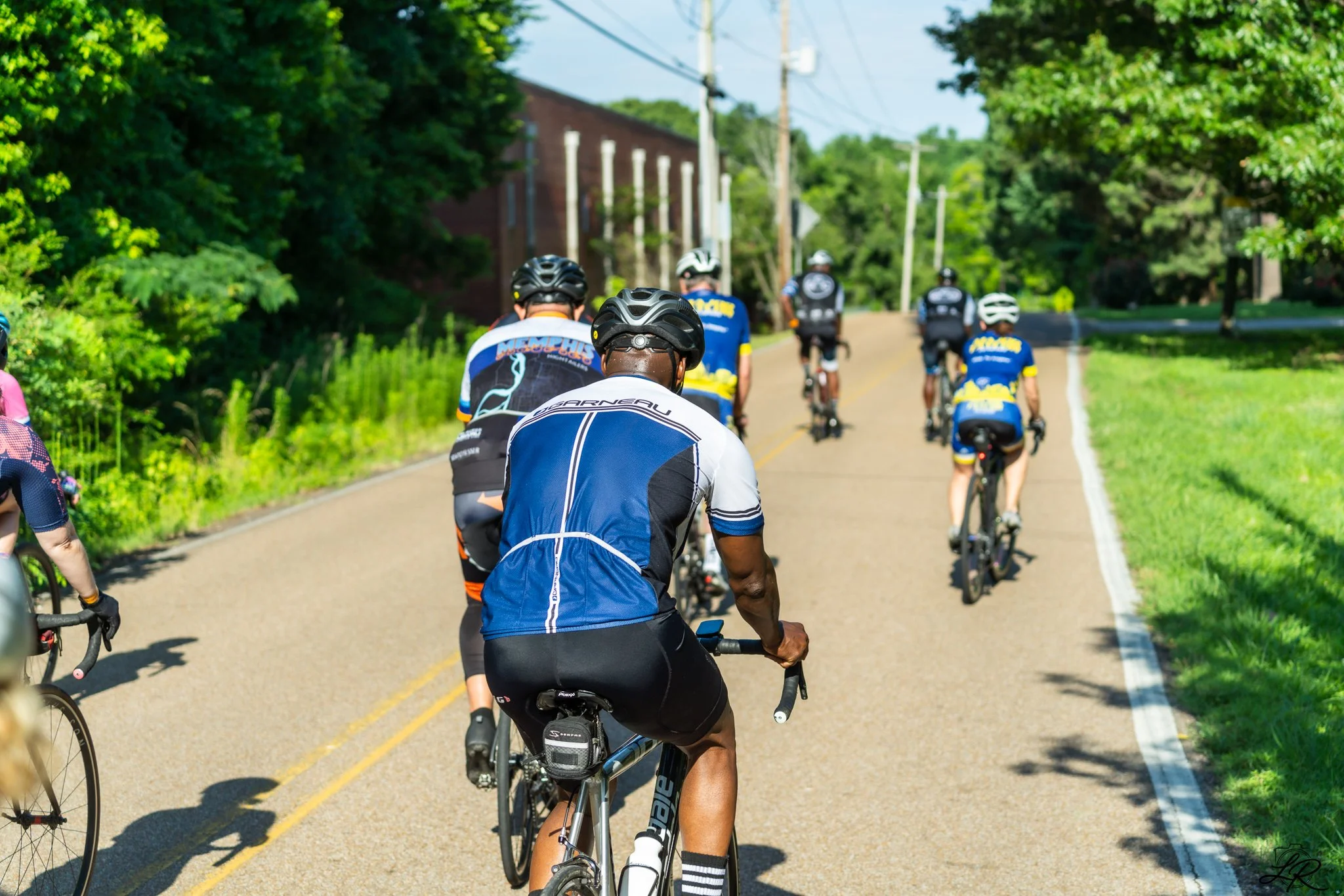 A group of cyclists riding on a rural road surrounded by green trees and utility poles on a sunny day.