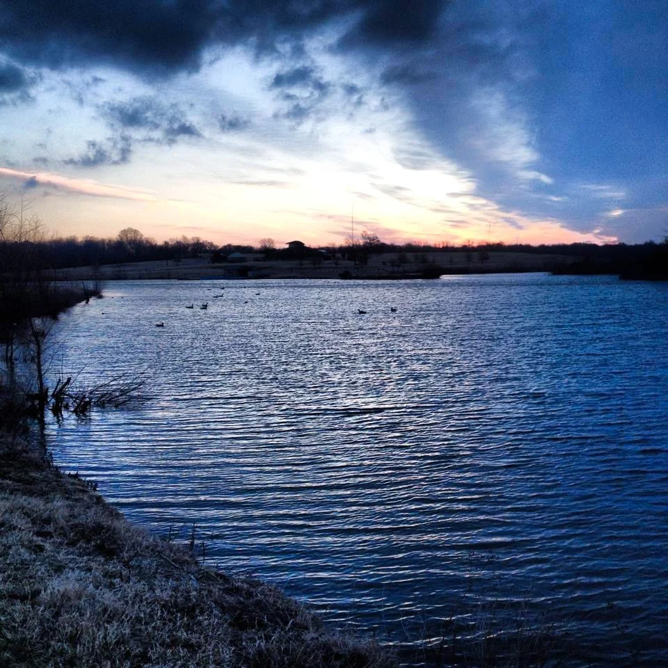 A serene lake at dusk, with a colorful sky of pink, orange, and blue, and ducks swimming on the water.