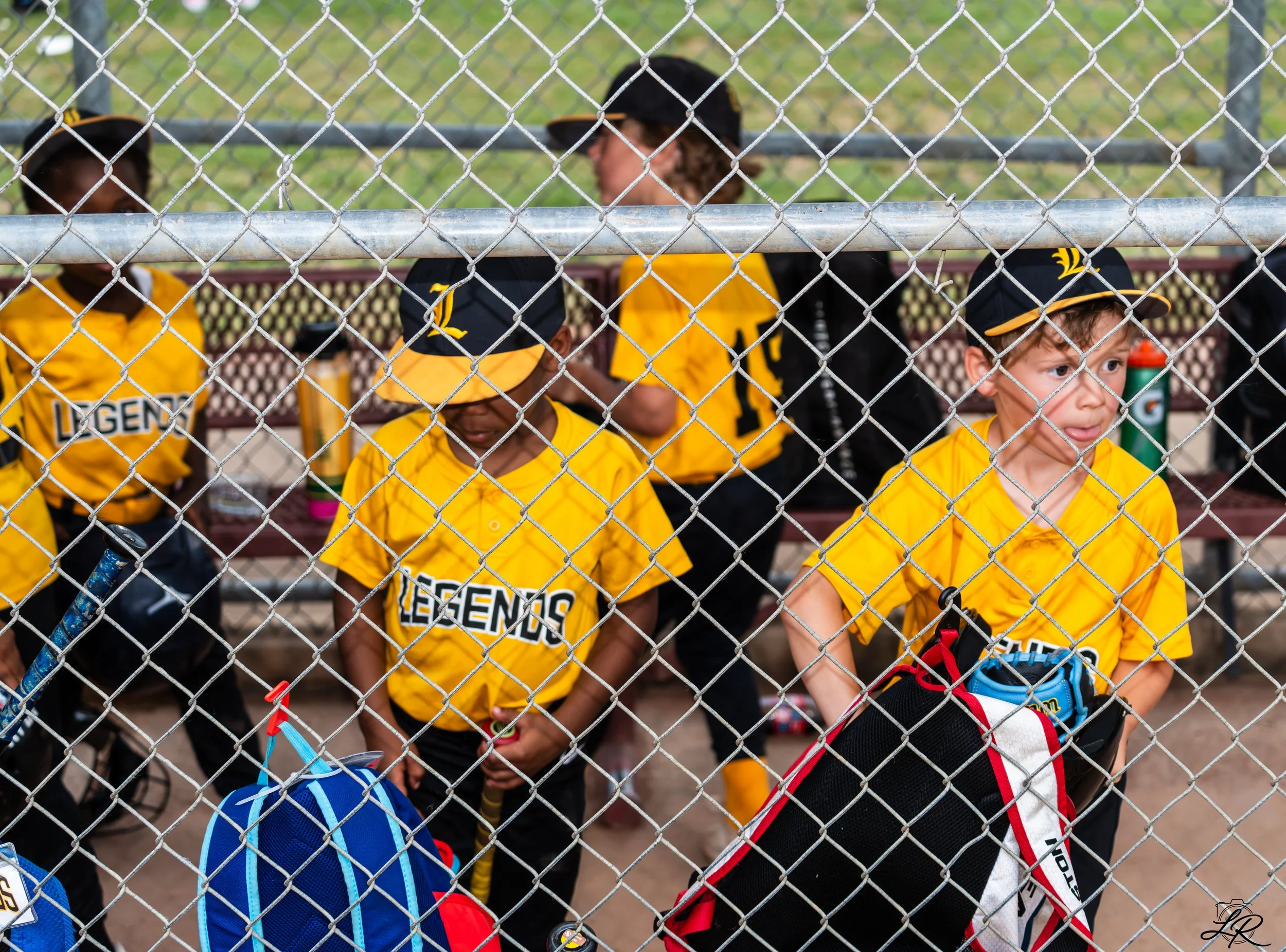20260519-A7400178.jpg