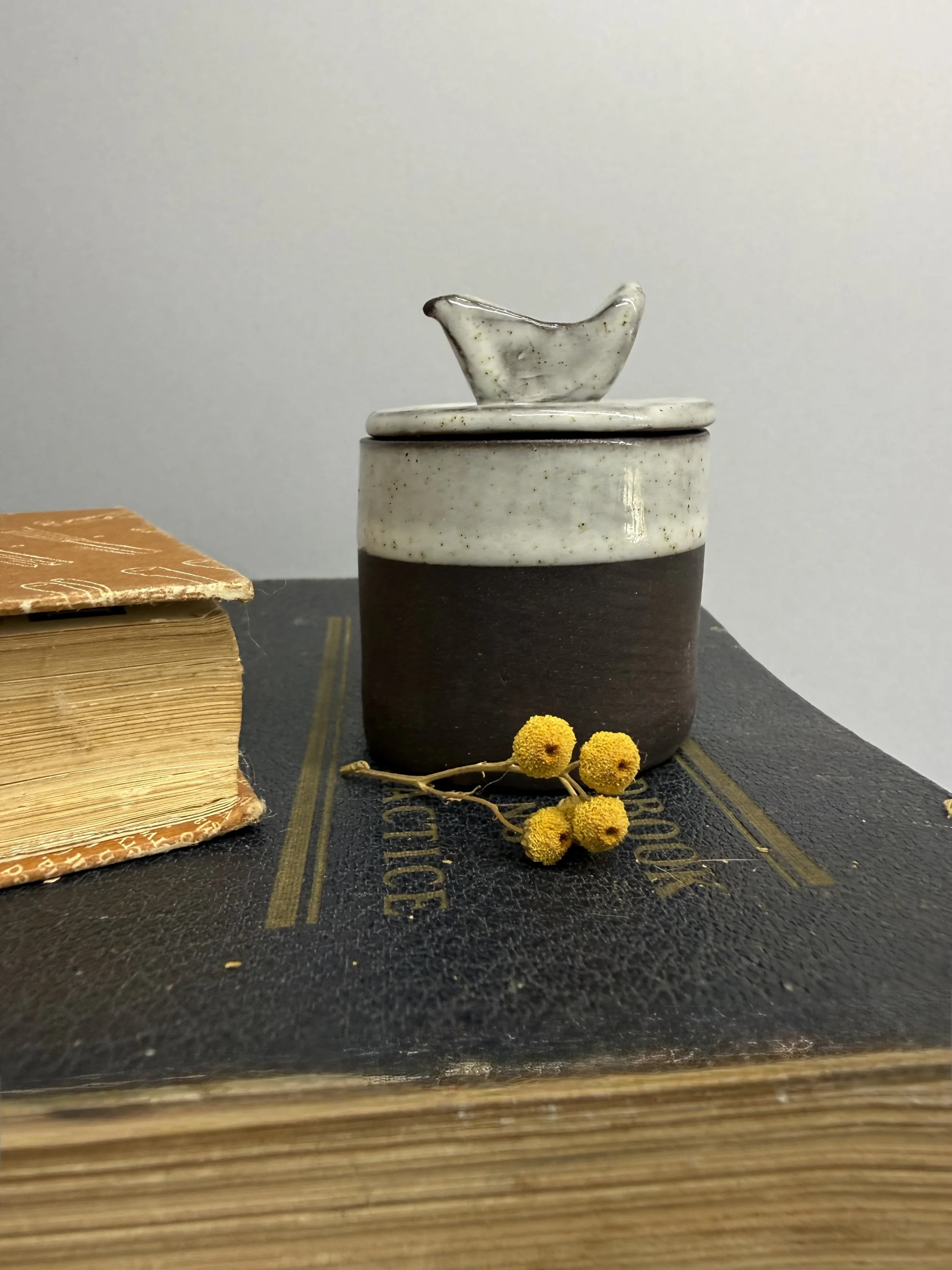 Little Bird Keeper Box