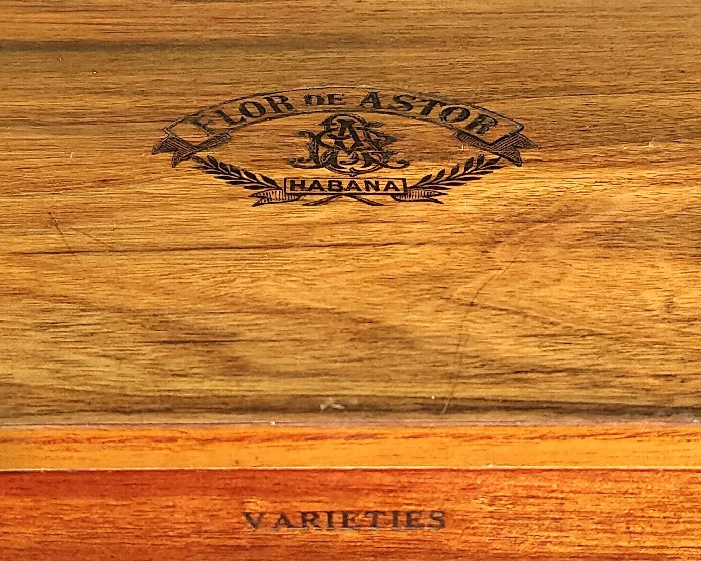 38- LA FLOR DE ASTOR.jpg