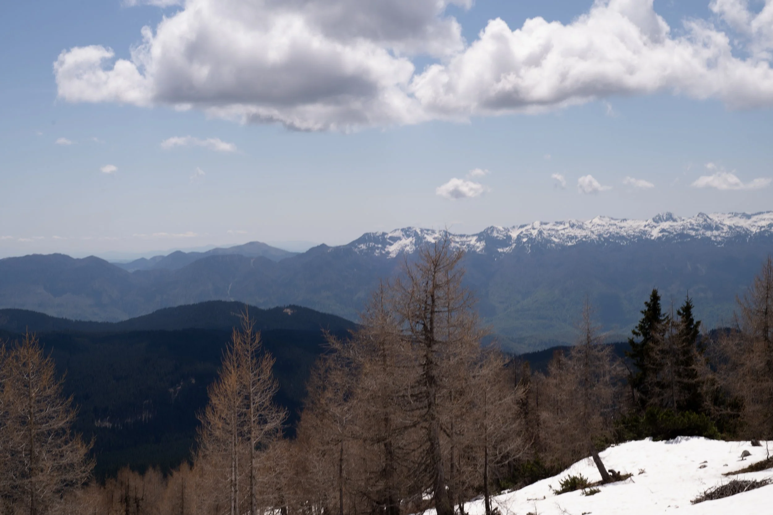 Europe_2025-283.jpg