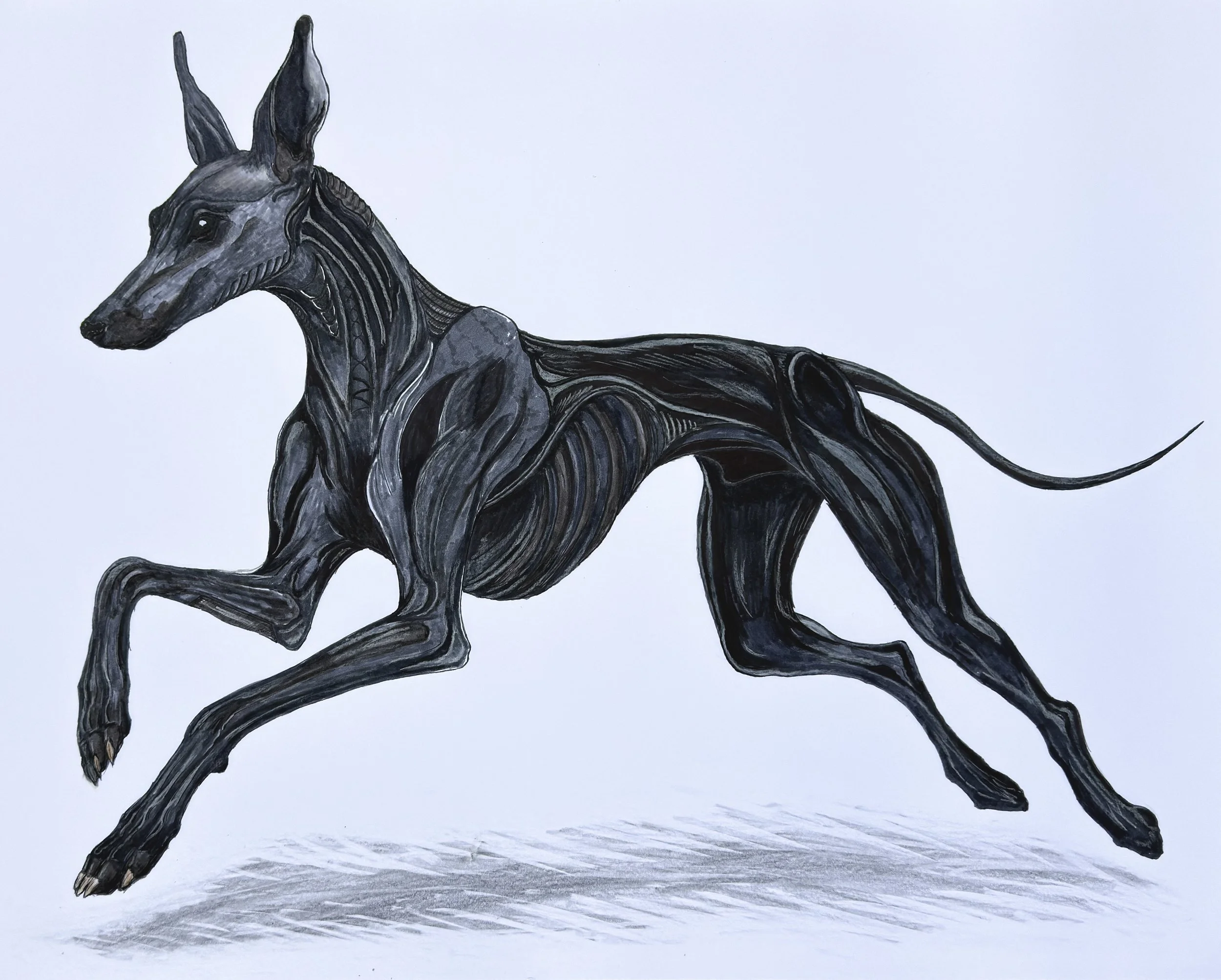 "No Title Dog"
2025
Ink on paper 
50 x 70 cm
Original drawing - sold