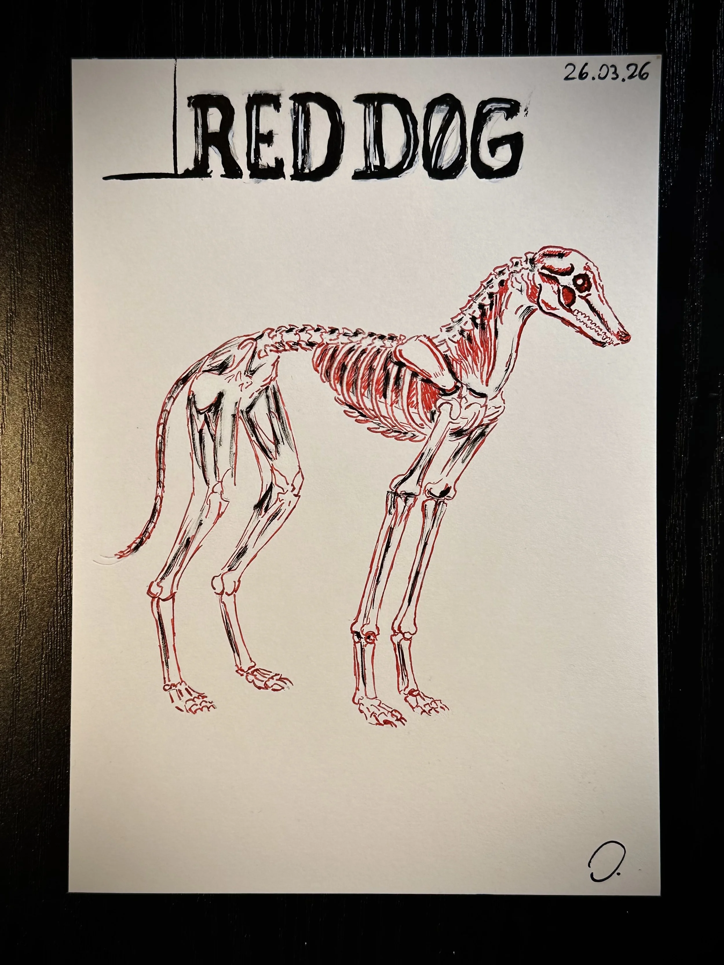 "Red Dog"