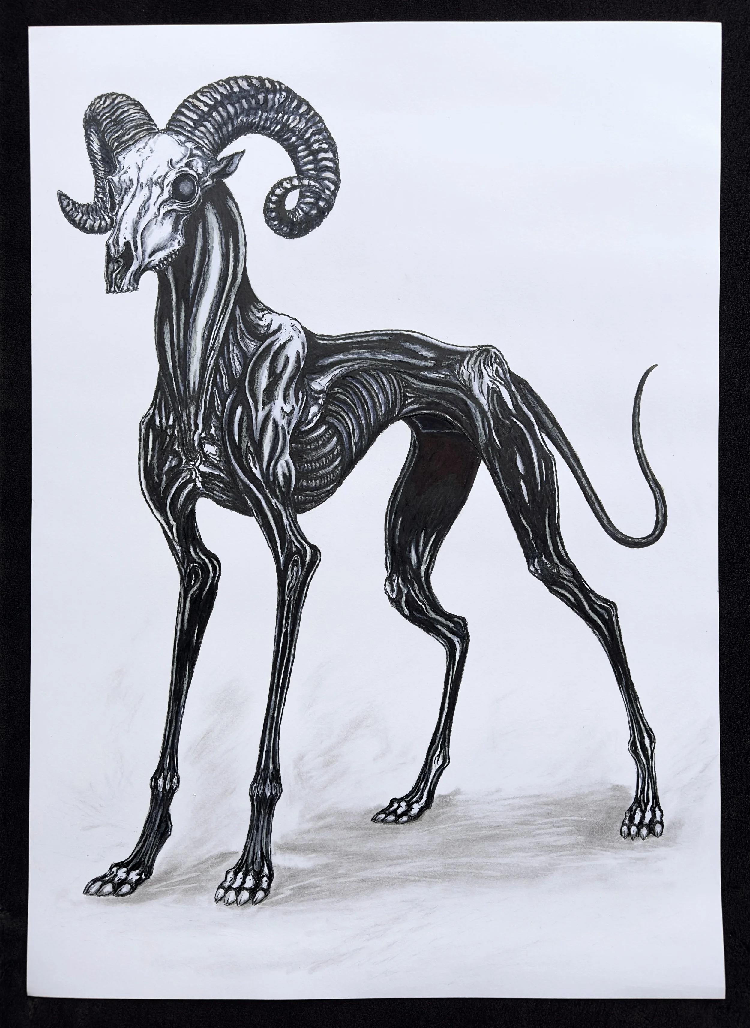 If I Wear A Dog
2026
Ink on paper
50x70