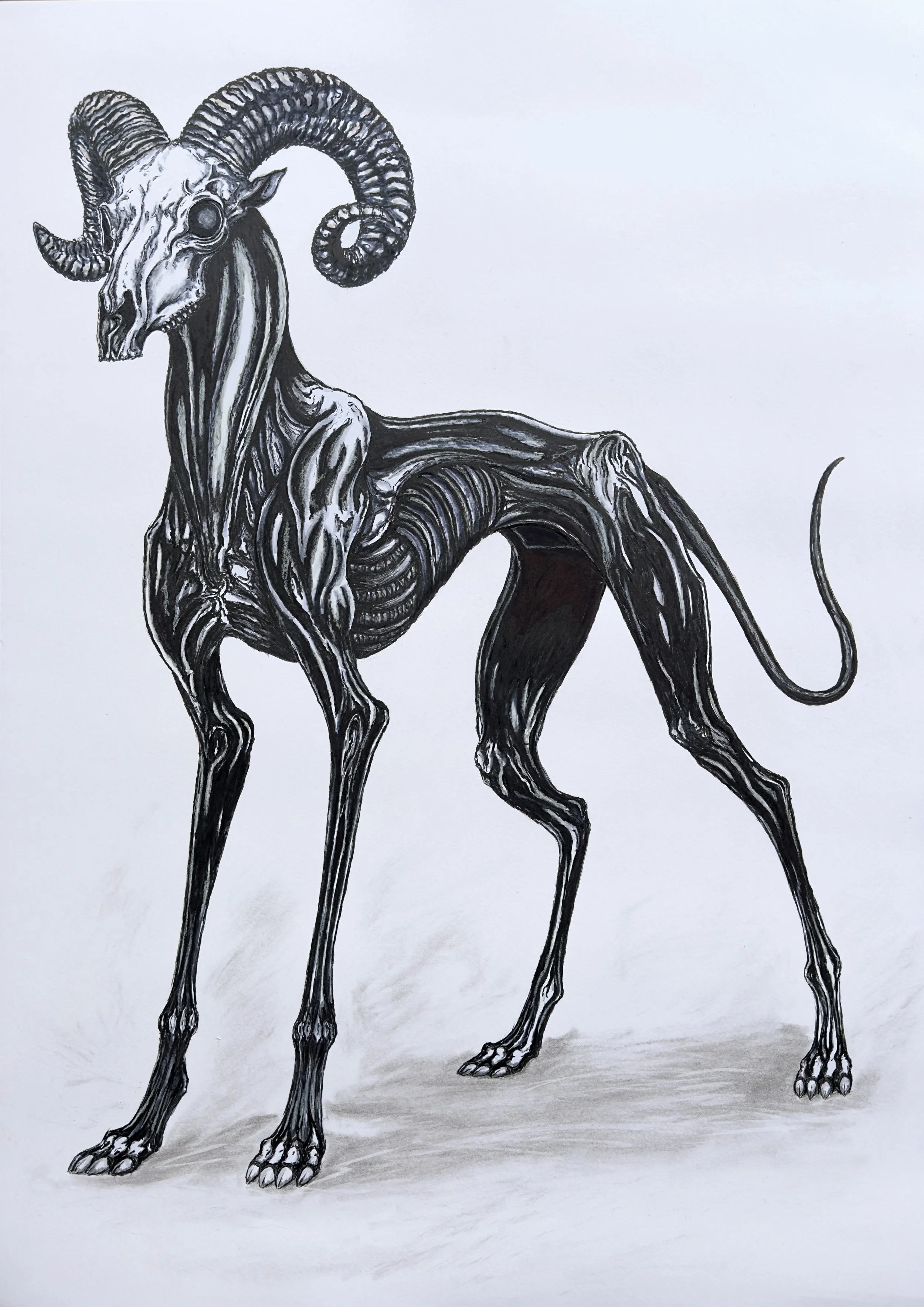 "If I Wear A Dog"
2025
Ink on paper
50 x 70 cm
Original drawing - available 