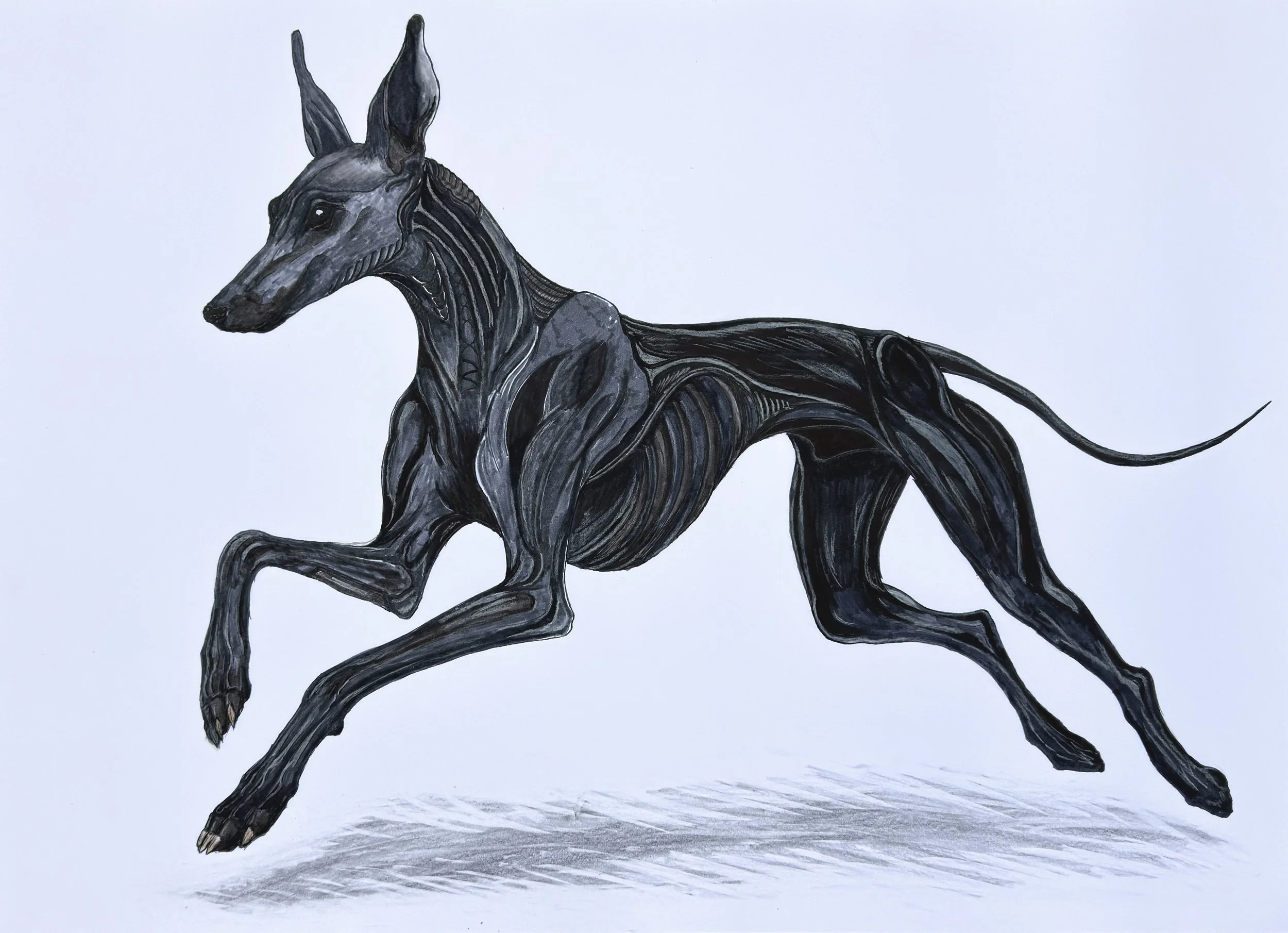 No Title Dog
2025
Ink & mix media on paper
50x70