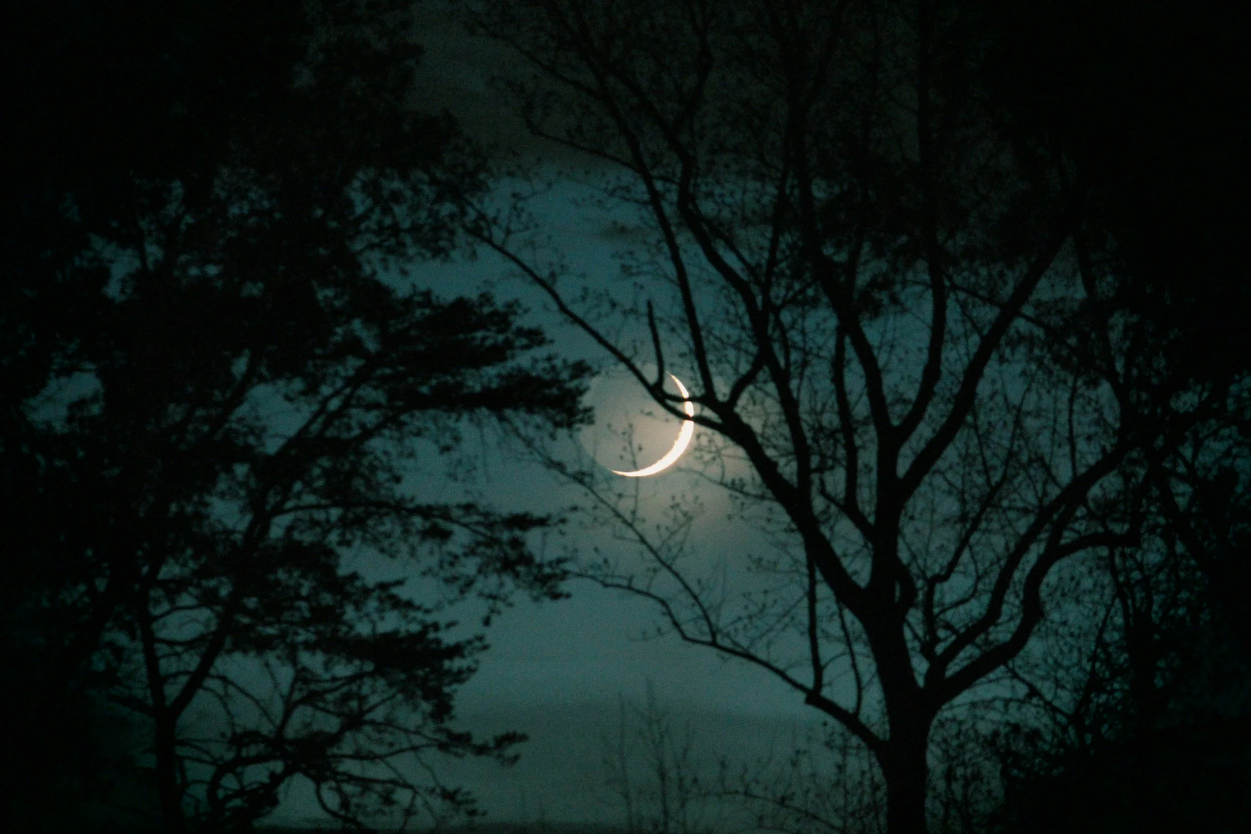 A crescent moon in a dark, cloudy night sky with silhouetted trees in the foreground.