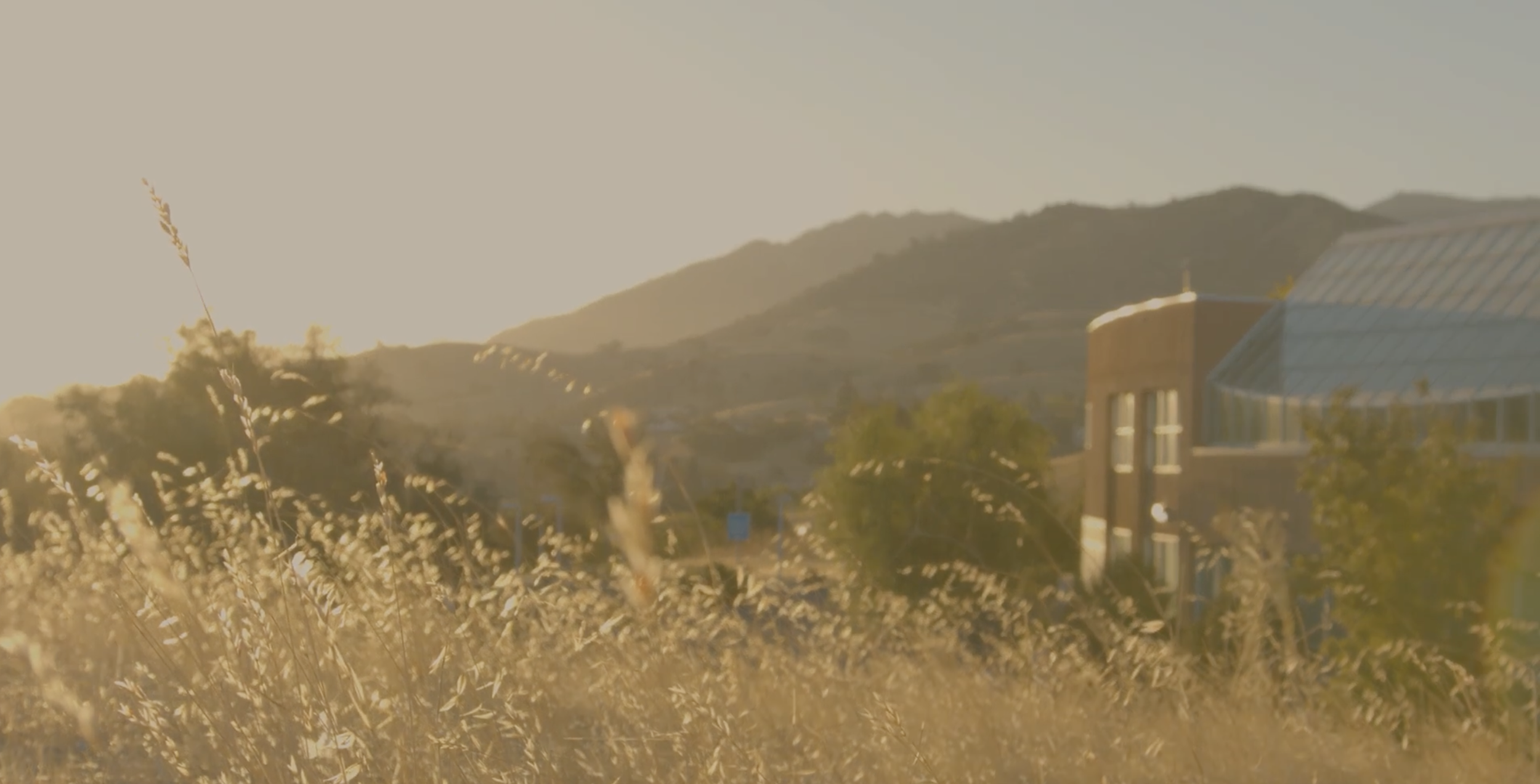 100 Acres at the tuuštak Ecocultural Garden at Cal State East Bay in čupkan/Concord