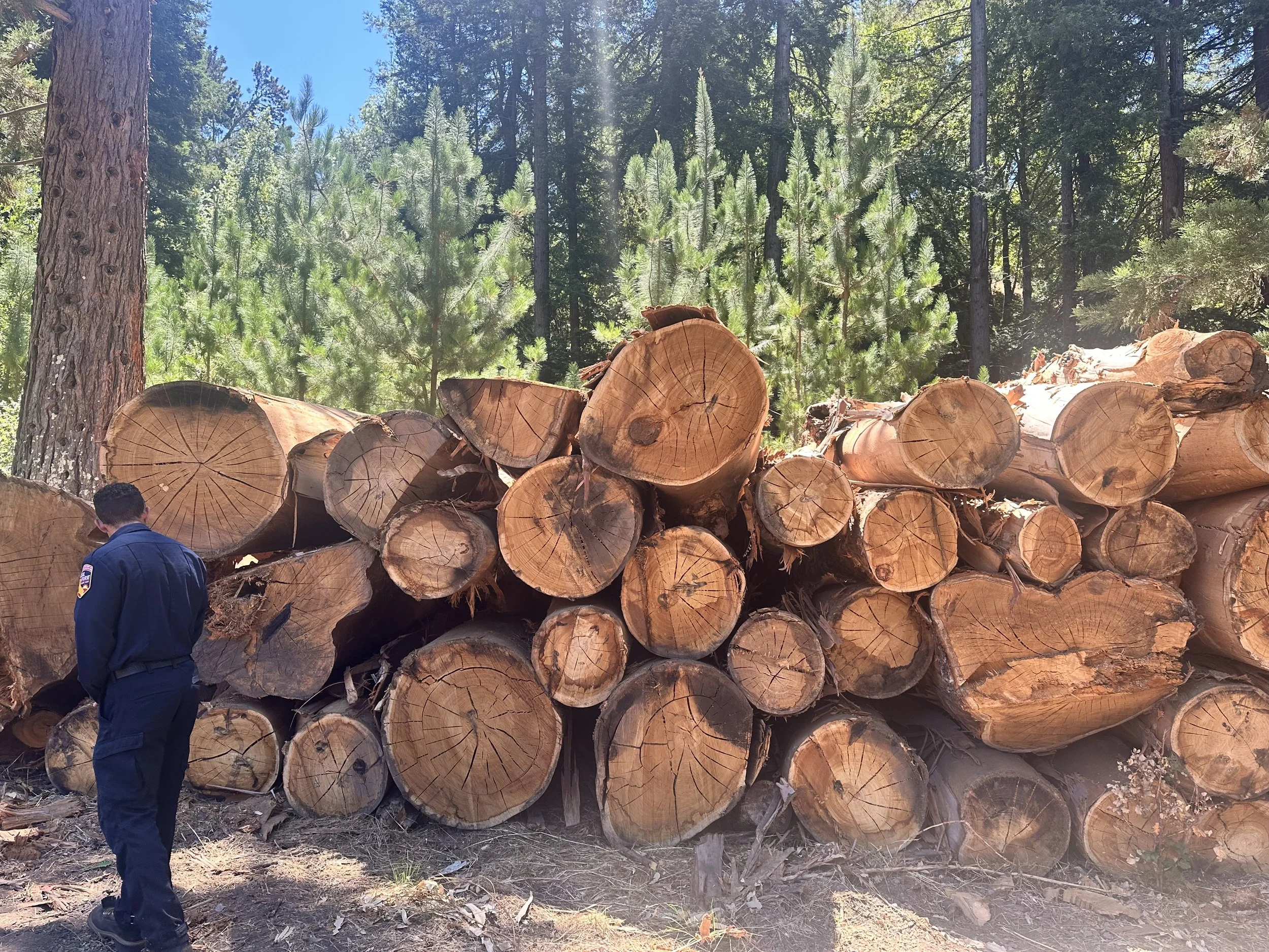 312 Acres at Russell Research Station in saklan/Lafayette