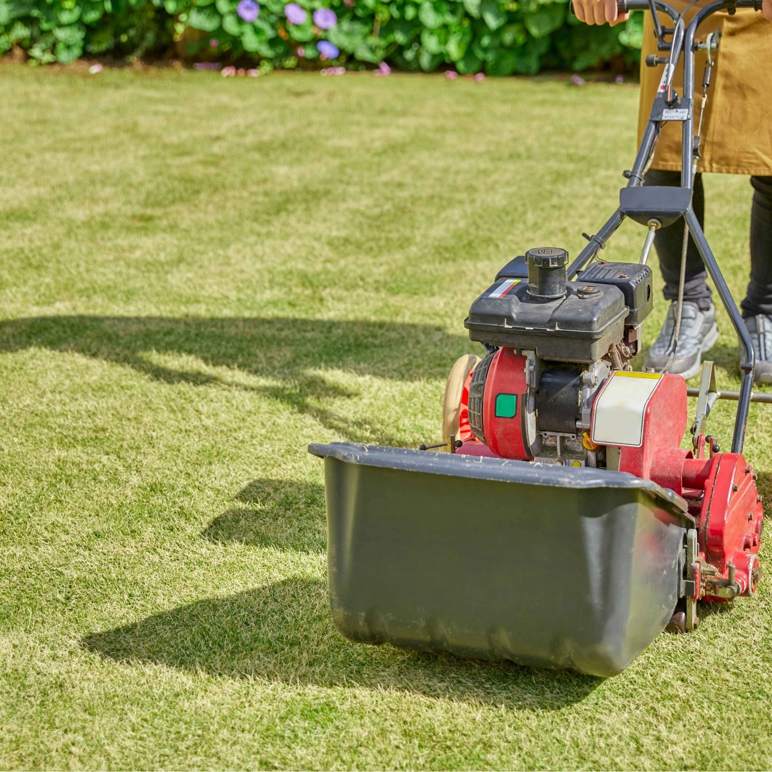 When Should You Aerate and Overseed Your Lawn?