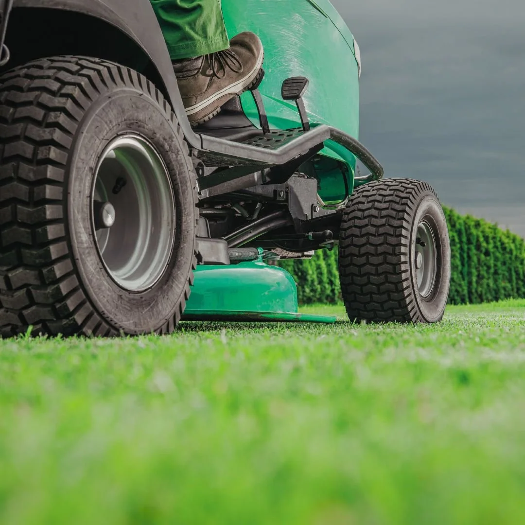 Benefits of Professional Lawn Care