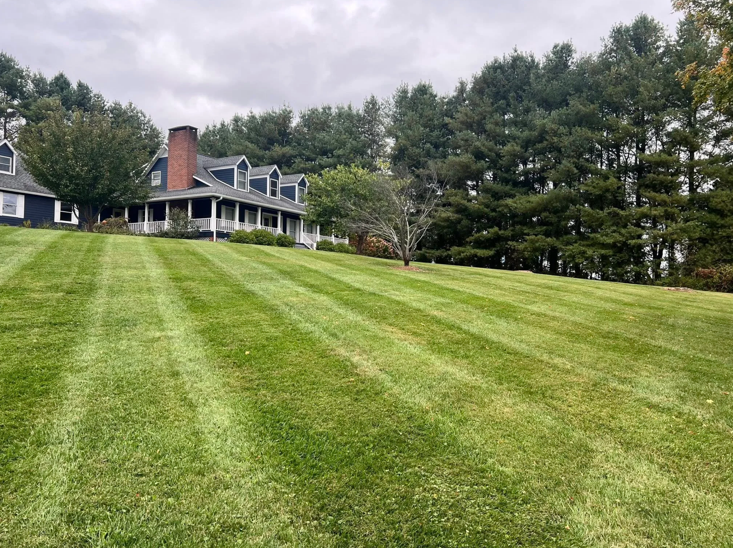 How to Get a Greener Lawn in Ashe County and Watauga County