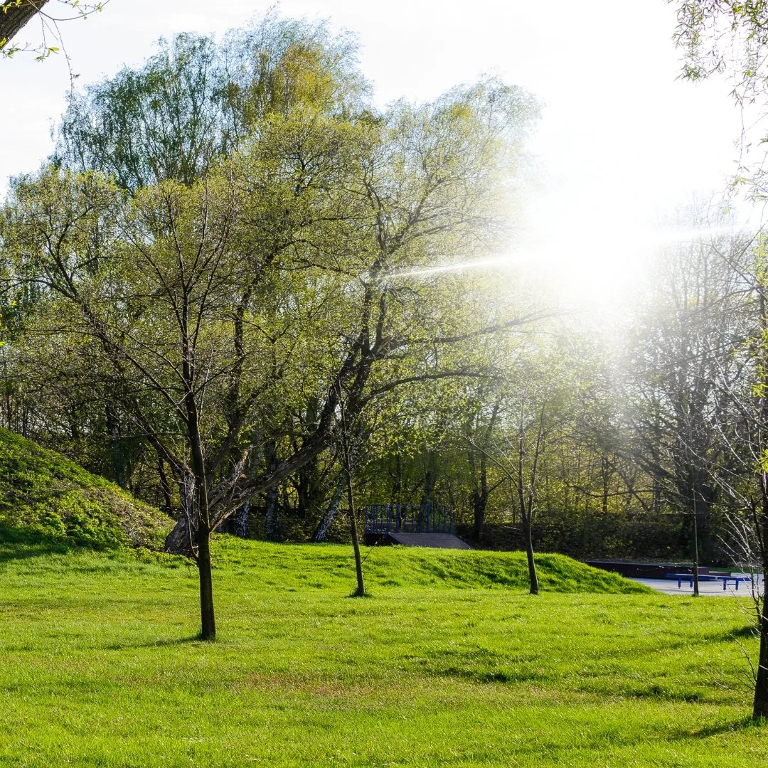 How to Keep Your Lawn Green During the Hottest Part of Summer
