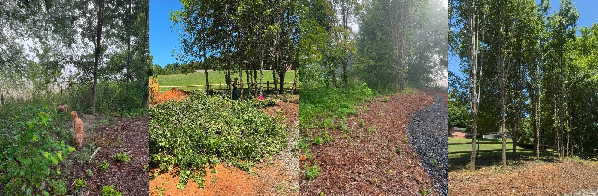 Professional fall yard cleanup with leaves, branches, and seasonal debris being removed from a residential lawn.