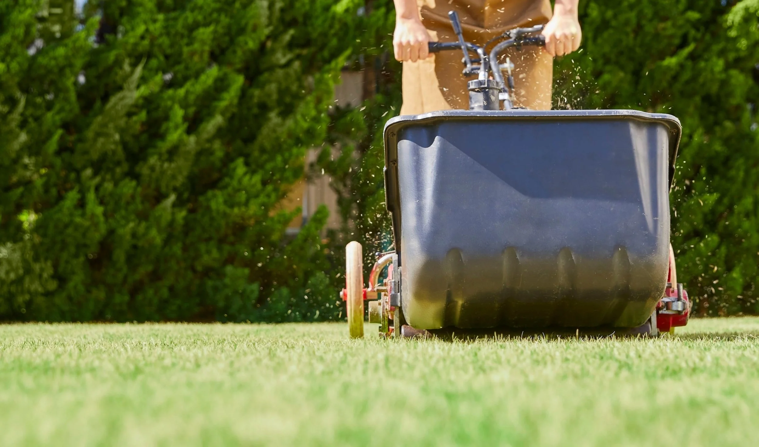 Lawn aeration and overseeding services in Ashe County and Watauga County to improve soil health, reduce compaction, and promote thicker, healthier grass growth.