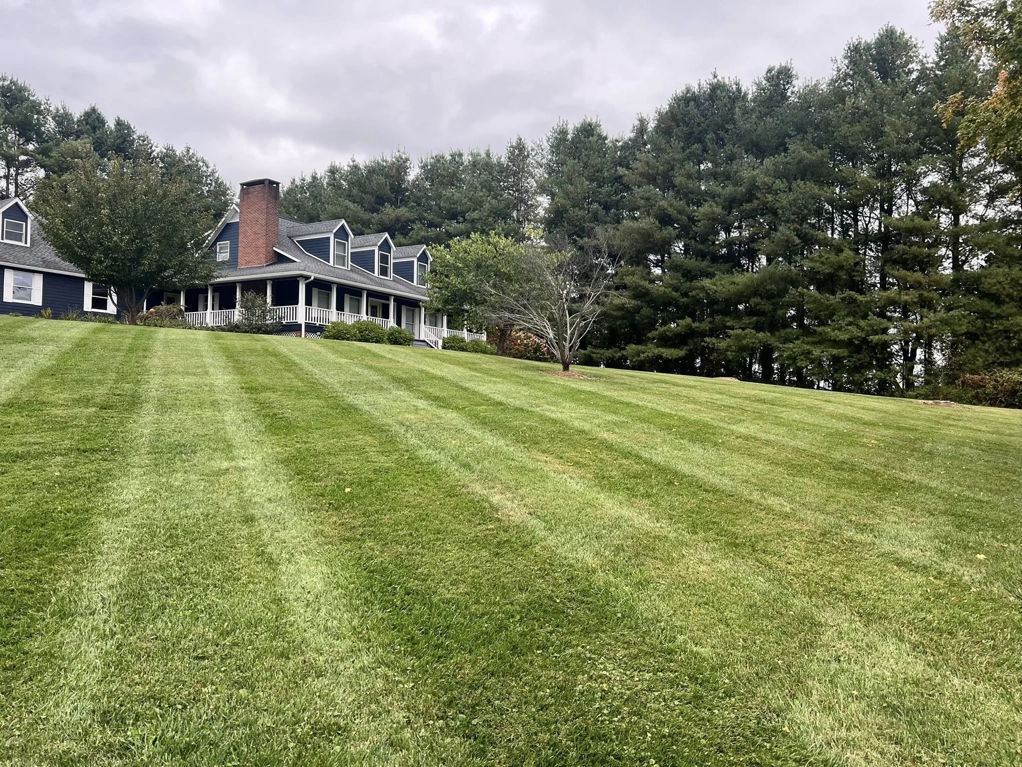 Lawn aeration, overseeding, and fertilization services in Ashe County and Watauga County to promote thicker, healthier grass and stronger root growth.
