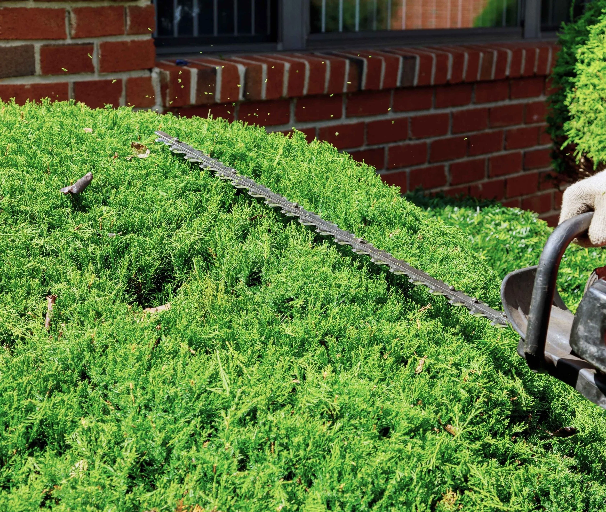 Professional edging, trimming, and hedge maintenance services in Ashe County and Watauga County to keep lawns, walkways, and landscaping looking clean and well maintained.