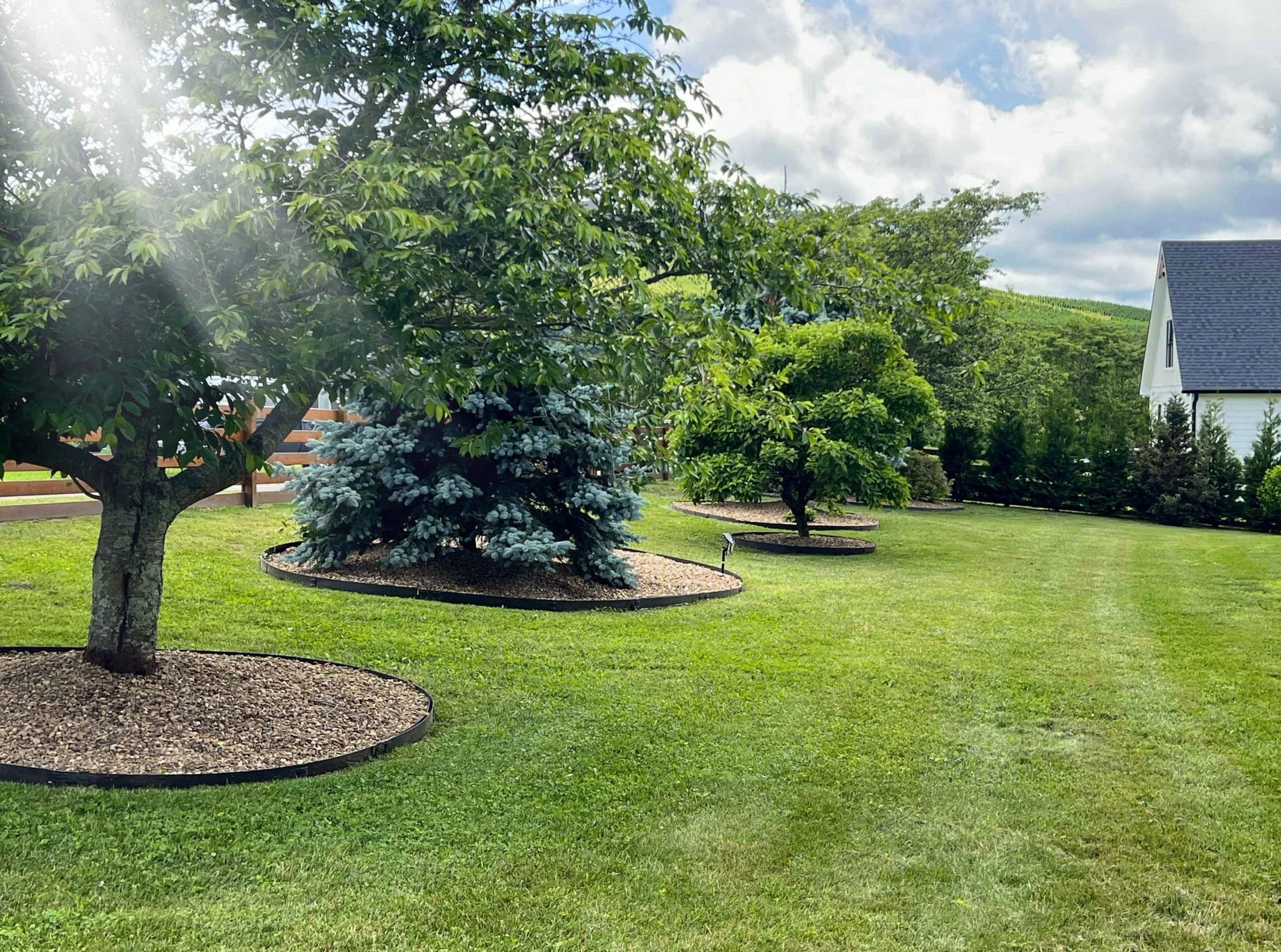 Professional lawn care services in Ashe County NC including West Jefferson and surrounding High Country communities