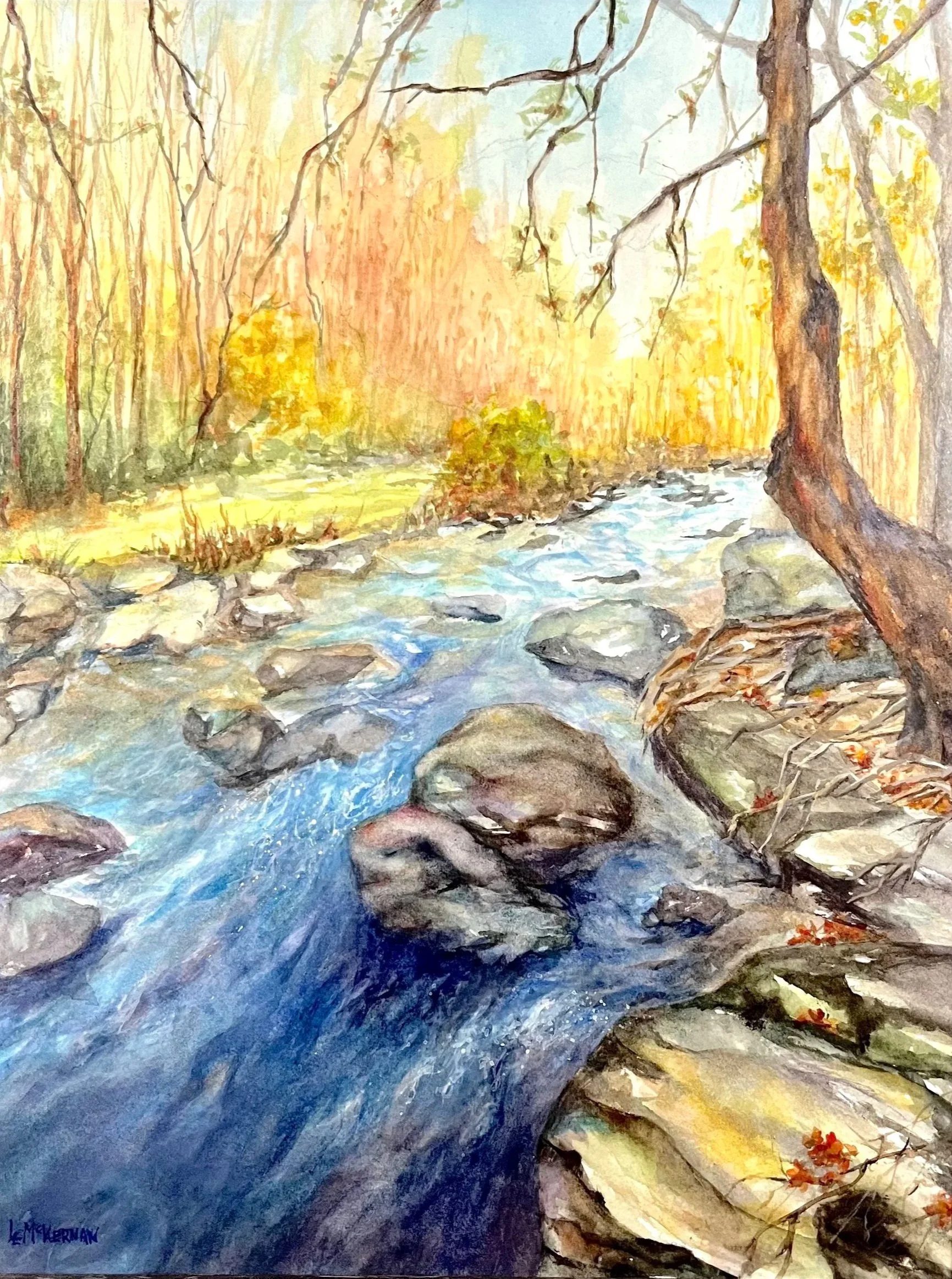 Smoky Mts Rushing Waters 
Waxed watercolor on paper 
Wood panel/premium frame 14x11 
$85