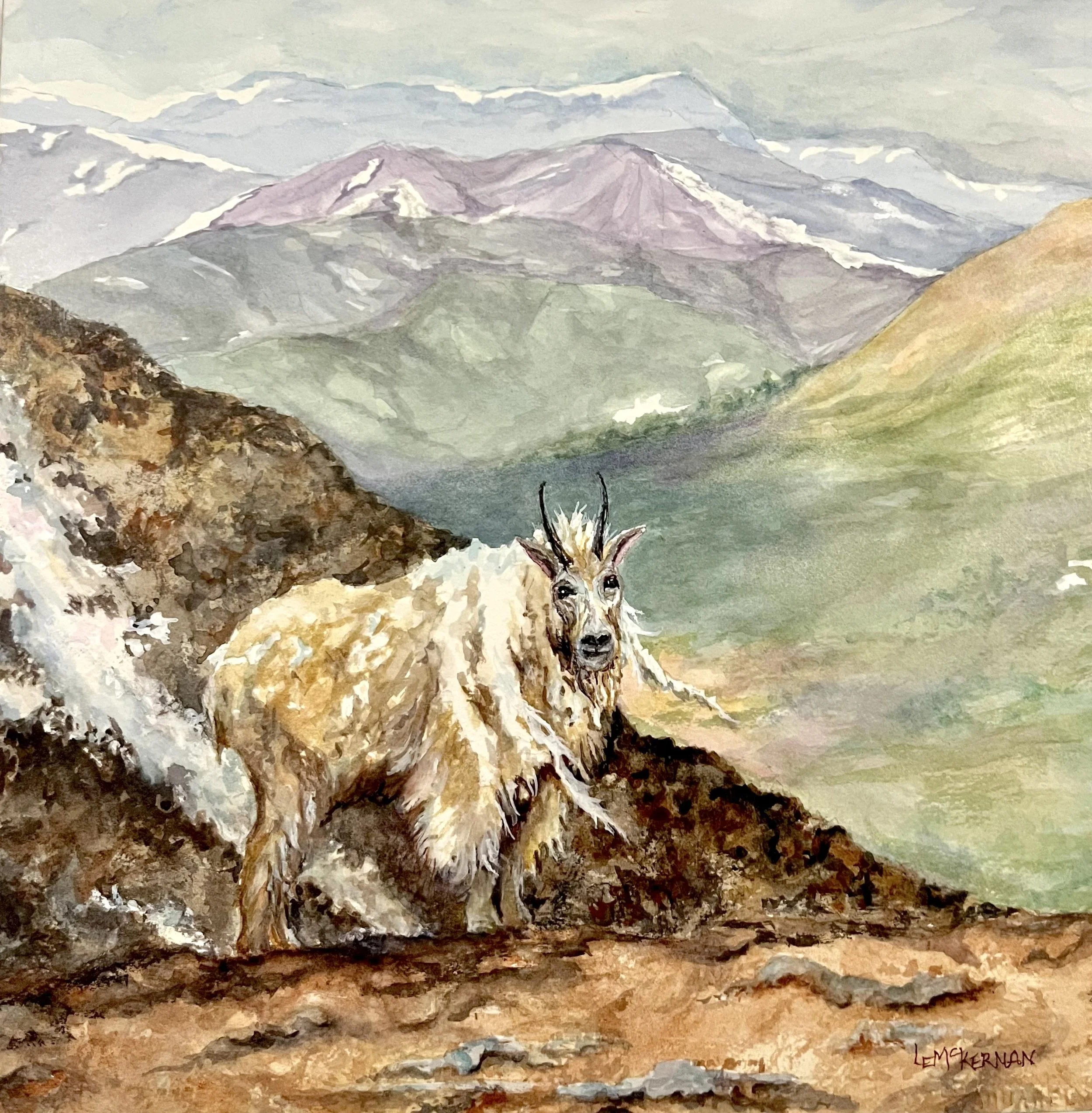 Rocky Mountain Goat 
Waxed watercolor on paper 
Cradle board 
12x12