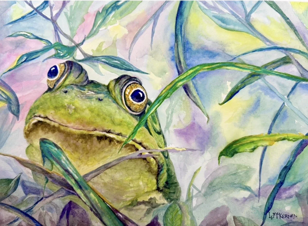 Ribbit
Waxed watercolor on paper
8x11 image on 9x12 Cradle Board
$55