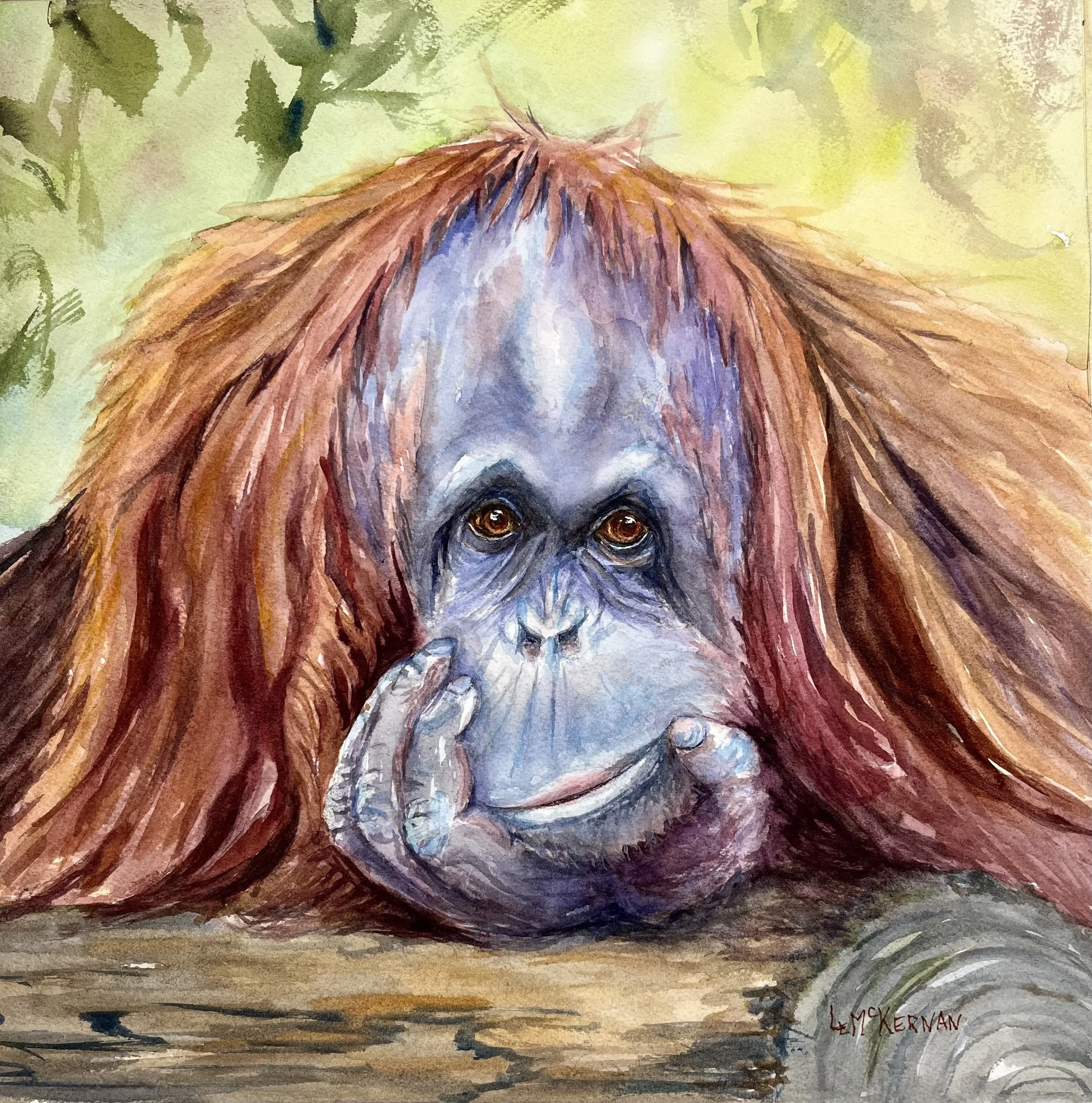 Orangutan 3 - Contemplation
Waxed watercolor on paper
Cradle board 12x12
$70
