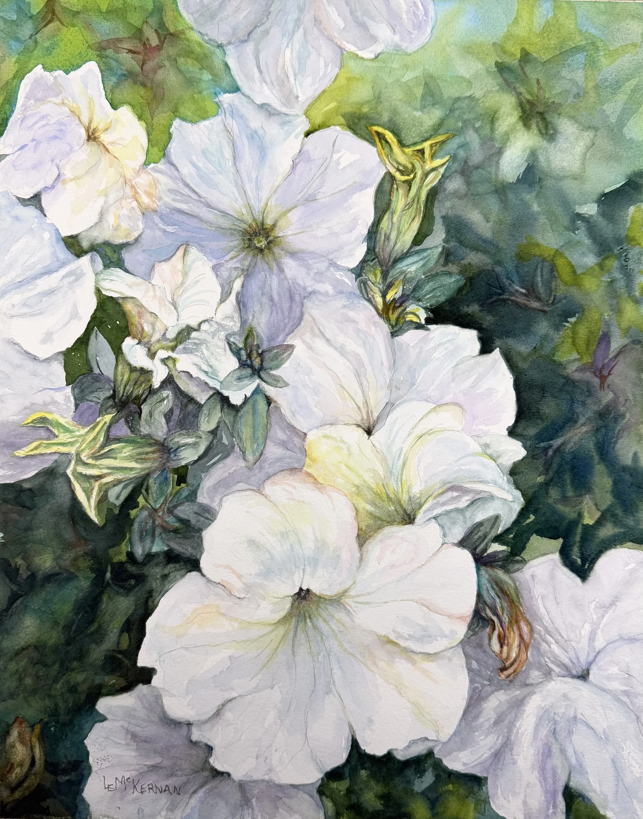 Colorful White Petunias
Waxed watercolor on paper
Wood panel/framed
$75