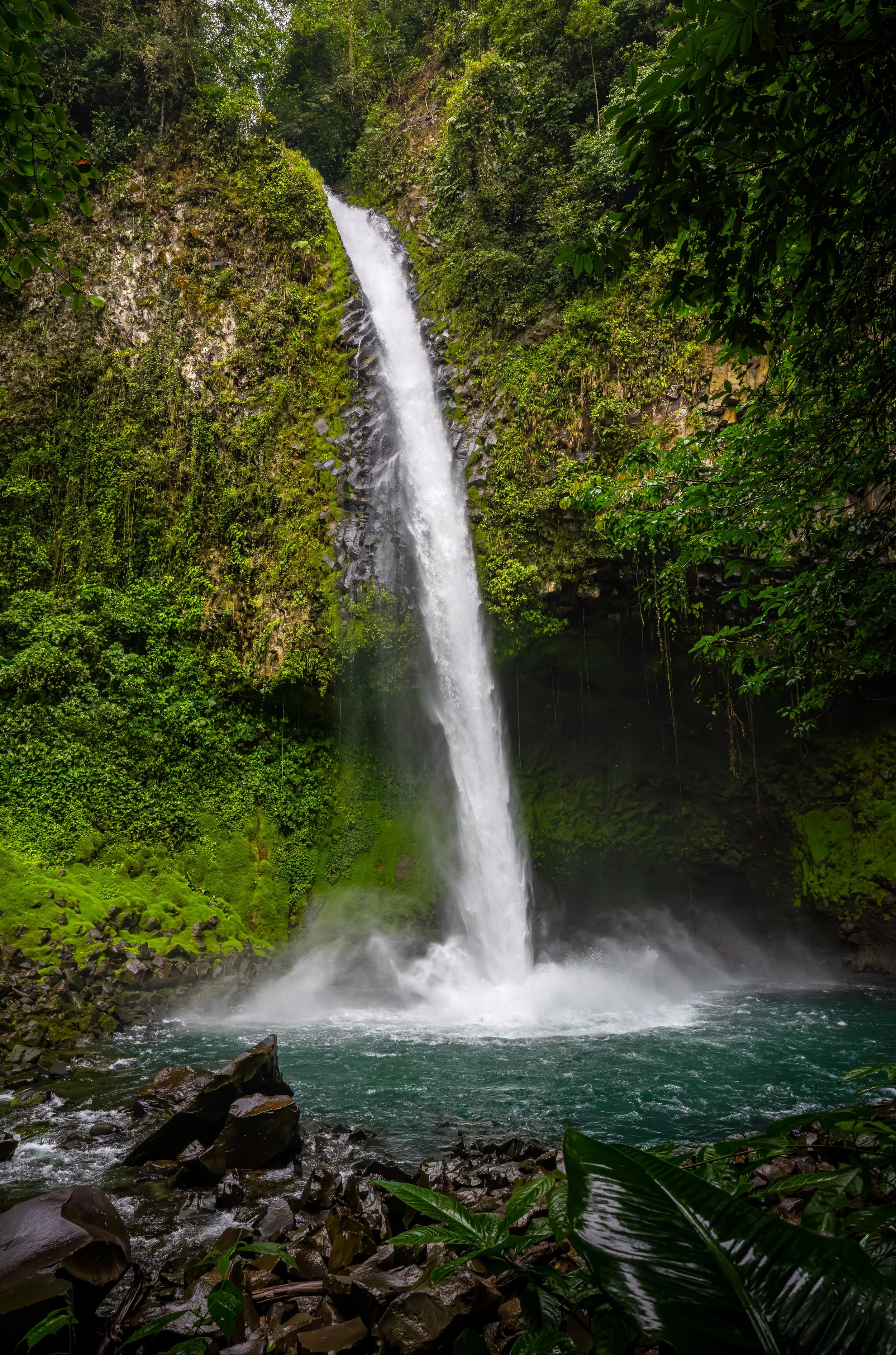 A tall waterfall flowing down a rocky, moss-covered cliff into a pool of water surrounded by lush green jungle foliage.
