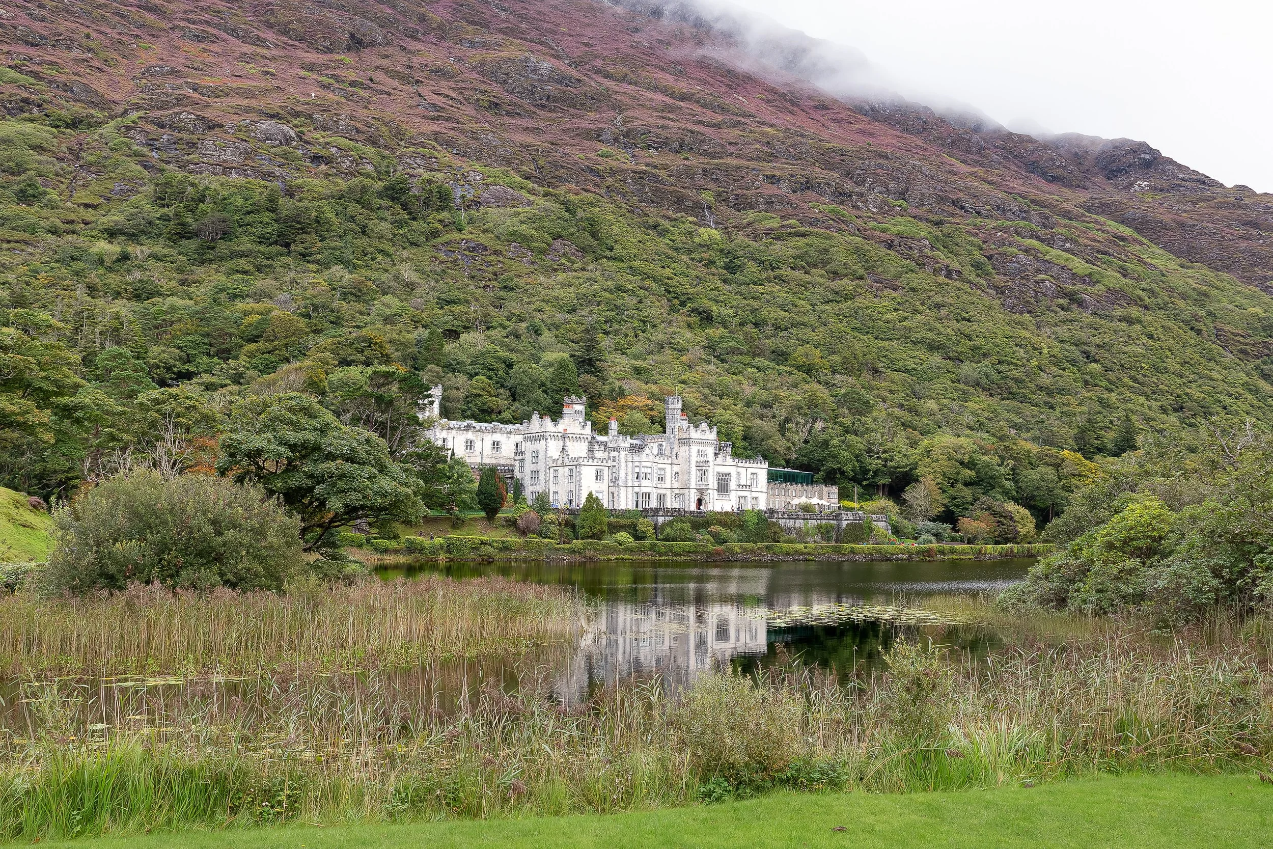 A large white castle situated on the edge of a lake in a green, hilly landscape. The castle is reflected in the calm water, with trees and shrubs along the shoreline and a steep hillside rising in the background.