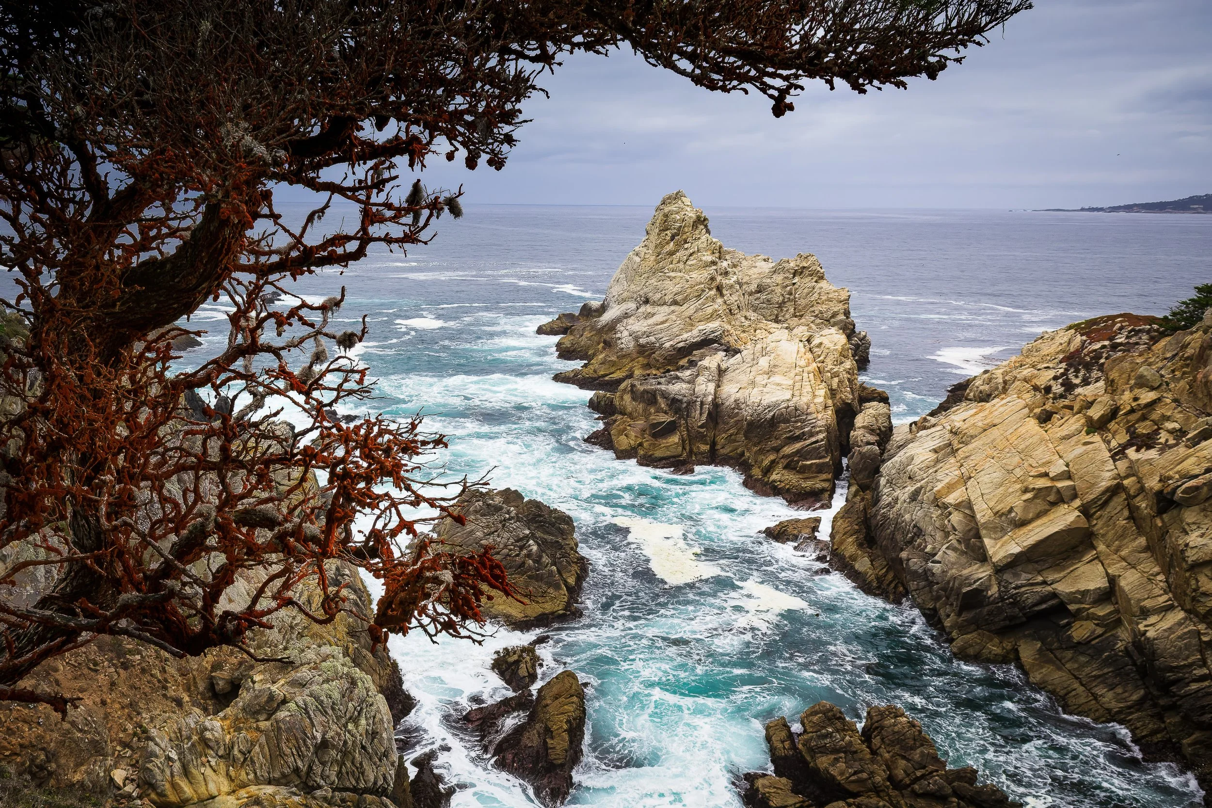 A rugged stretch of coastline in Point Lobos State Natural Reserve, where wind-shaped cypress trees frame the powerful movement of the Pacific Ocean. The composition draws the eye through layers of rock and water, capturing both the energy and quiet 