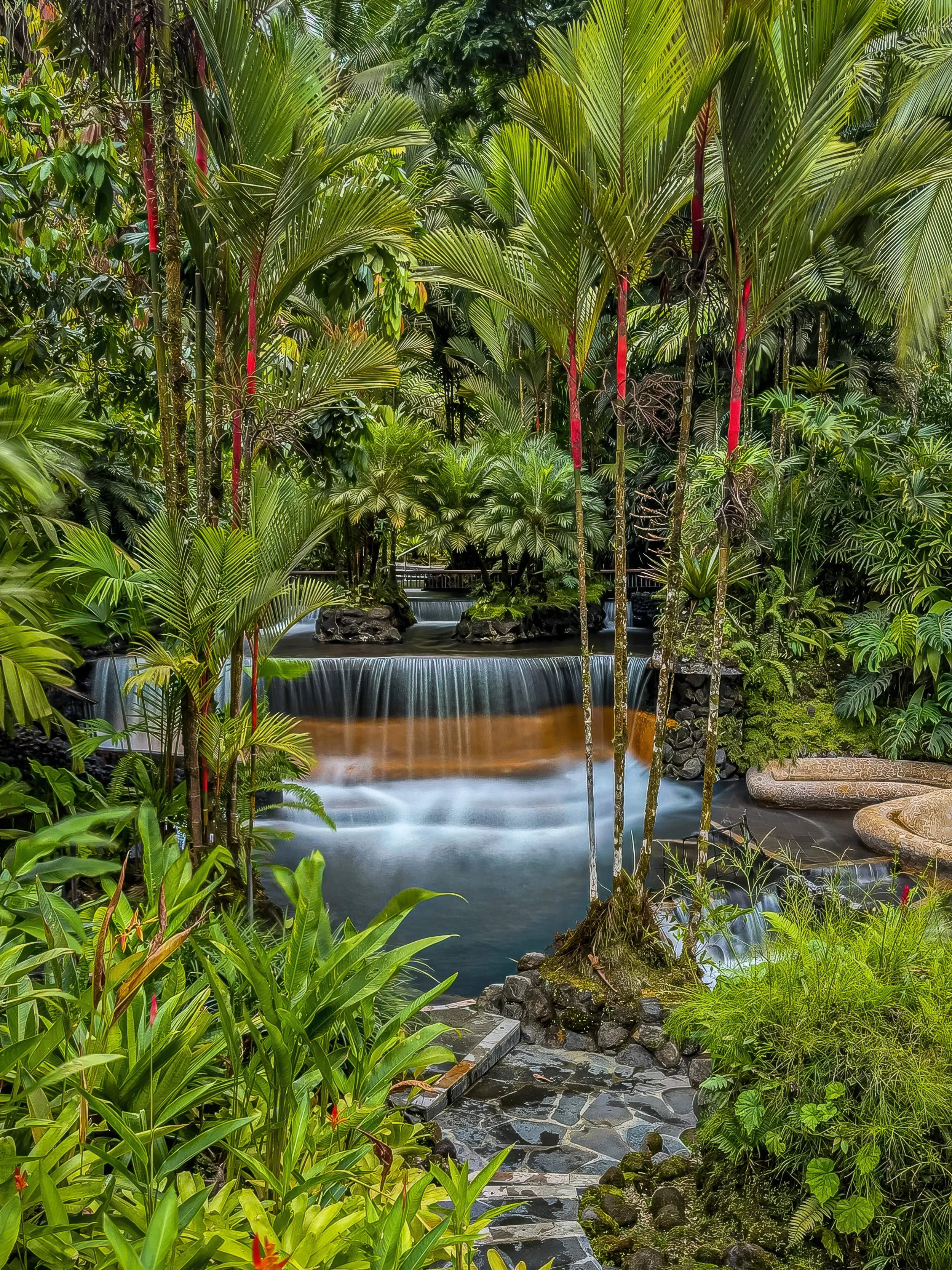 Lush tropical indoor garden with a small waterfall, various green plants, palms, and decorative stones.
