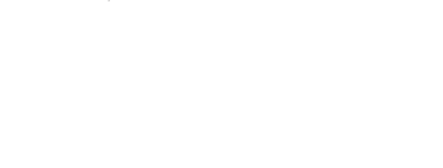 Erick Vargas Portfolio