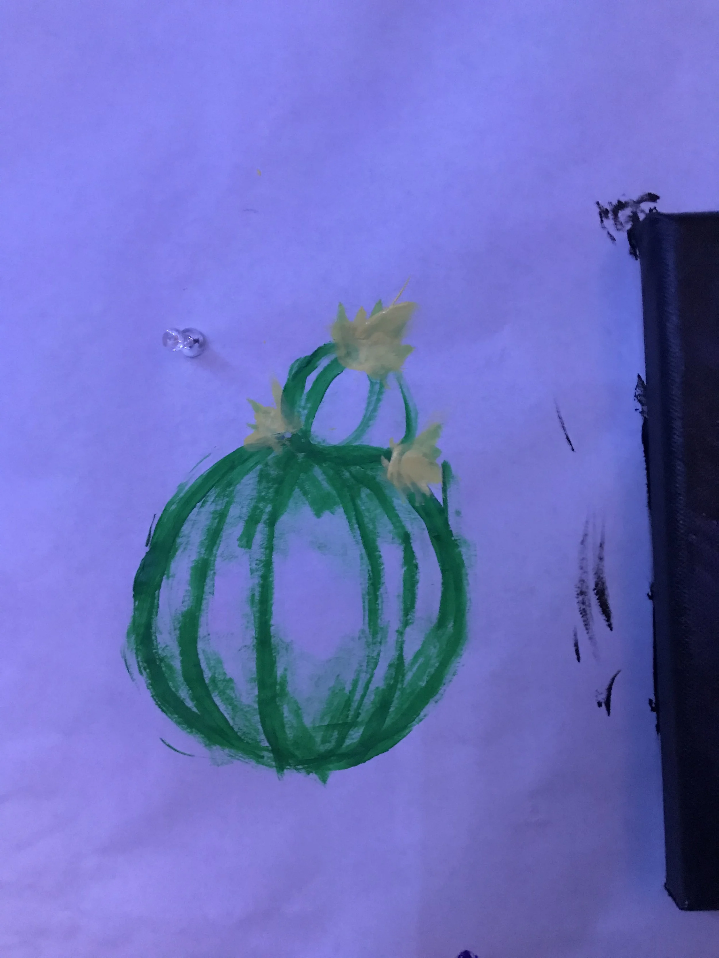62528555140__9AD008C1-0D5B-4D01-9061-3C7A85122C02.jpeg