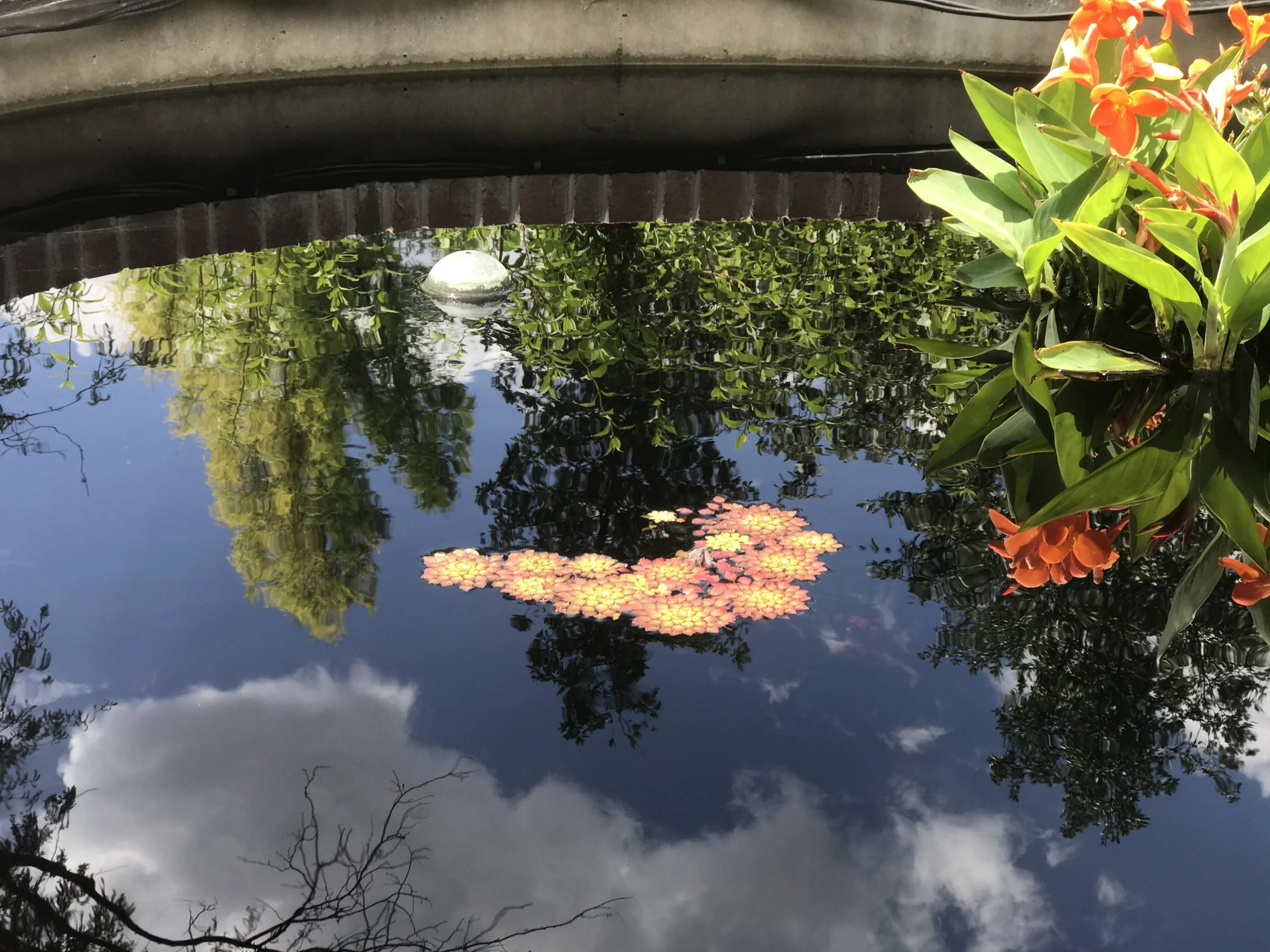 IMG_5797.jpeg