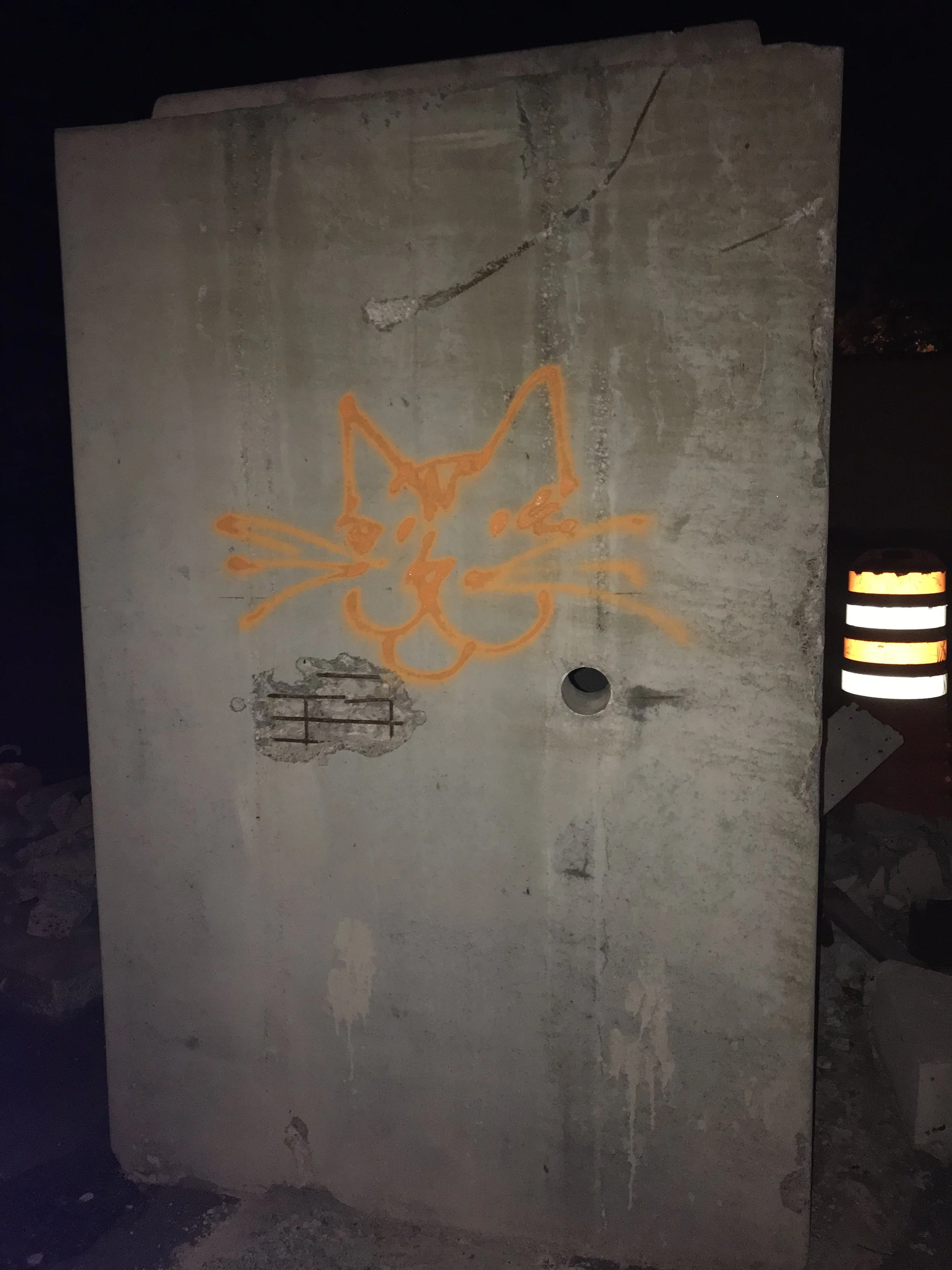 IMG_7137.jpeg