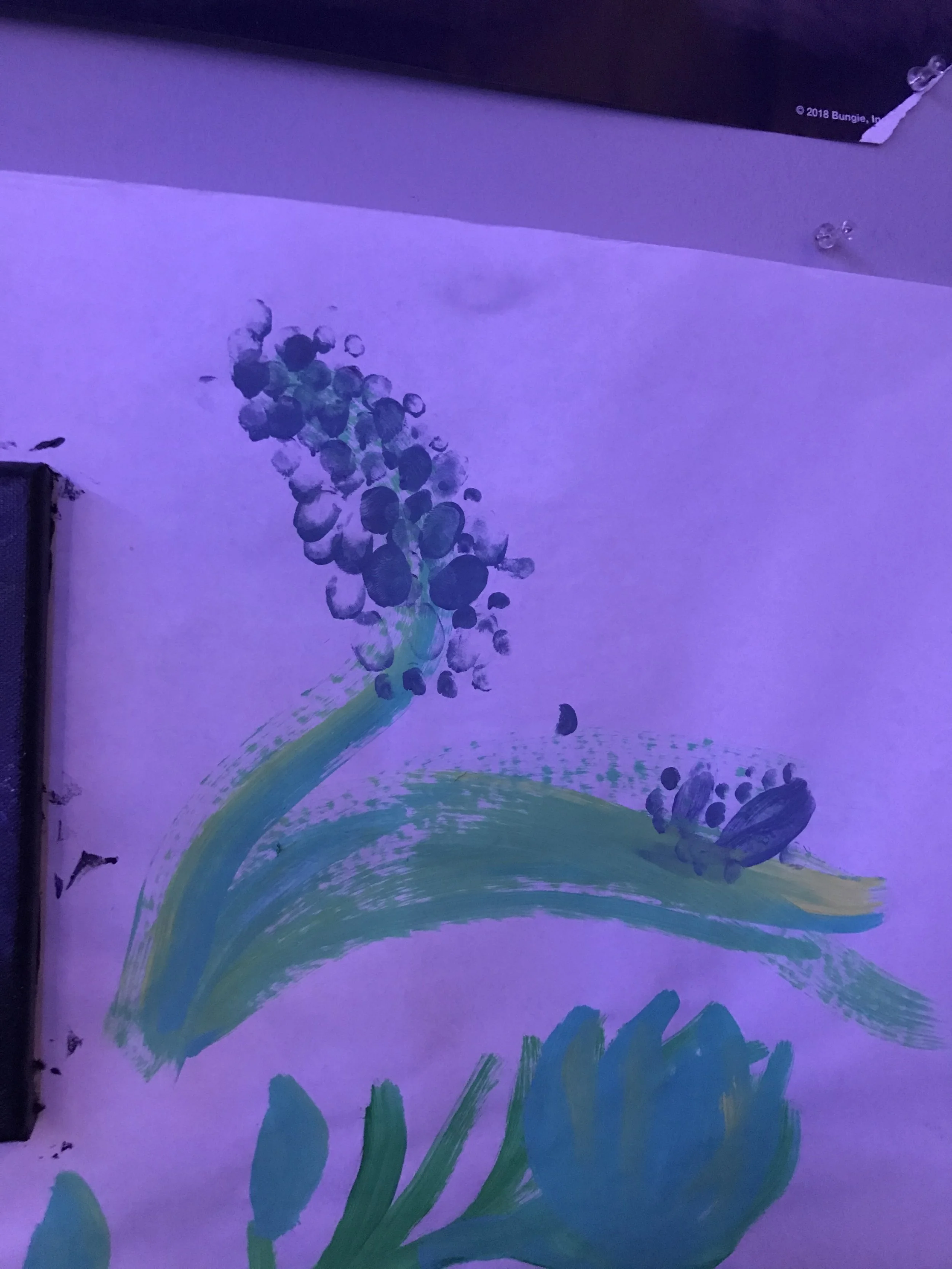 62528557132__60C3814C-1D91-4151-B84C-182603B48267.jpeg