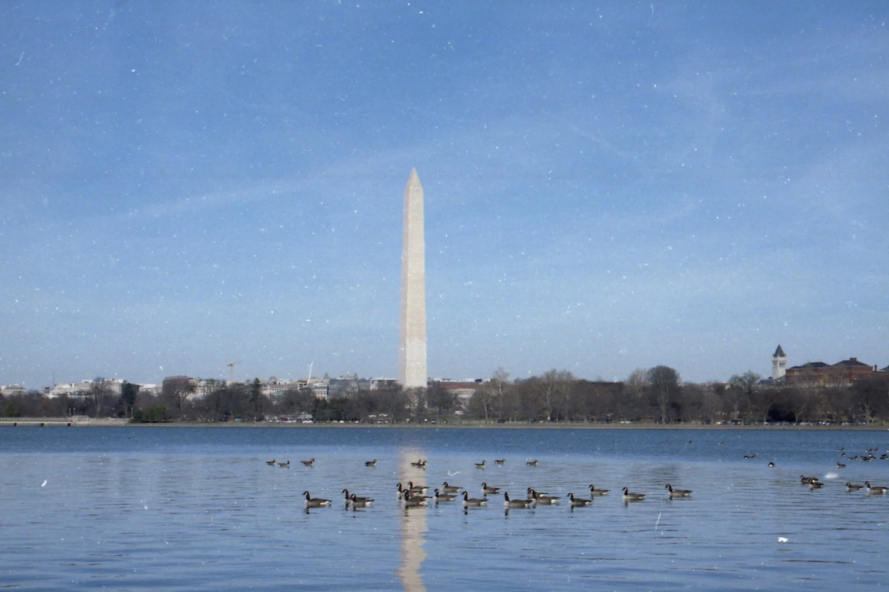 Copy of Copy of img351.jpg