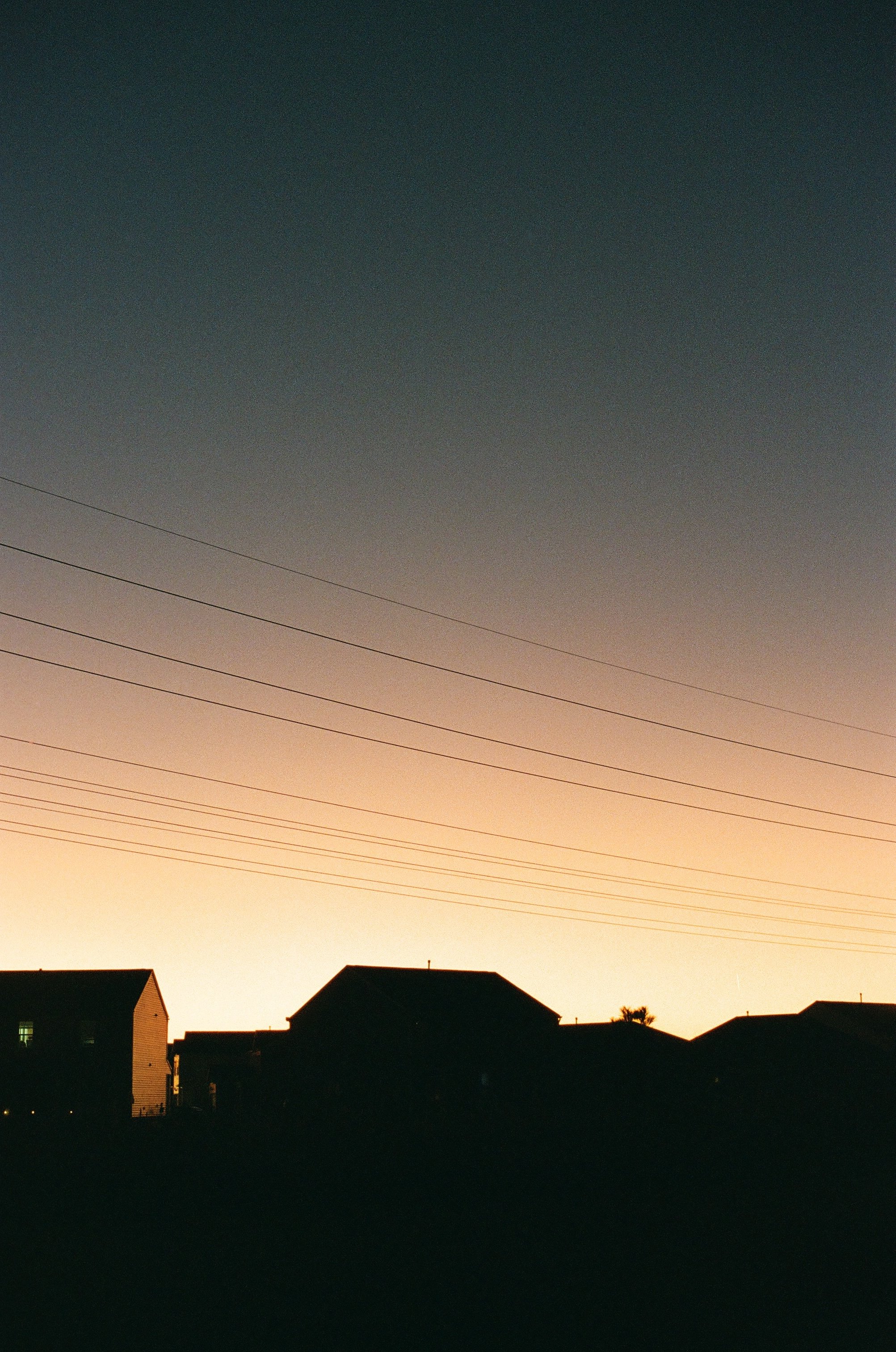 Copy of 000000970031.jpg