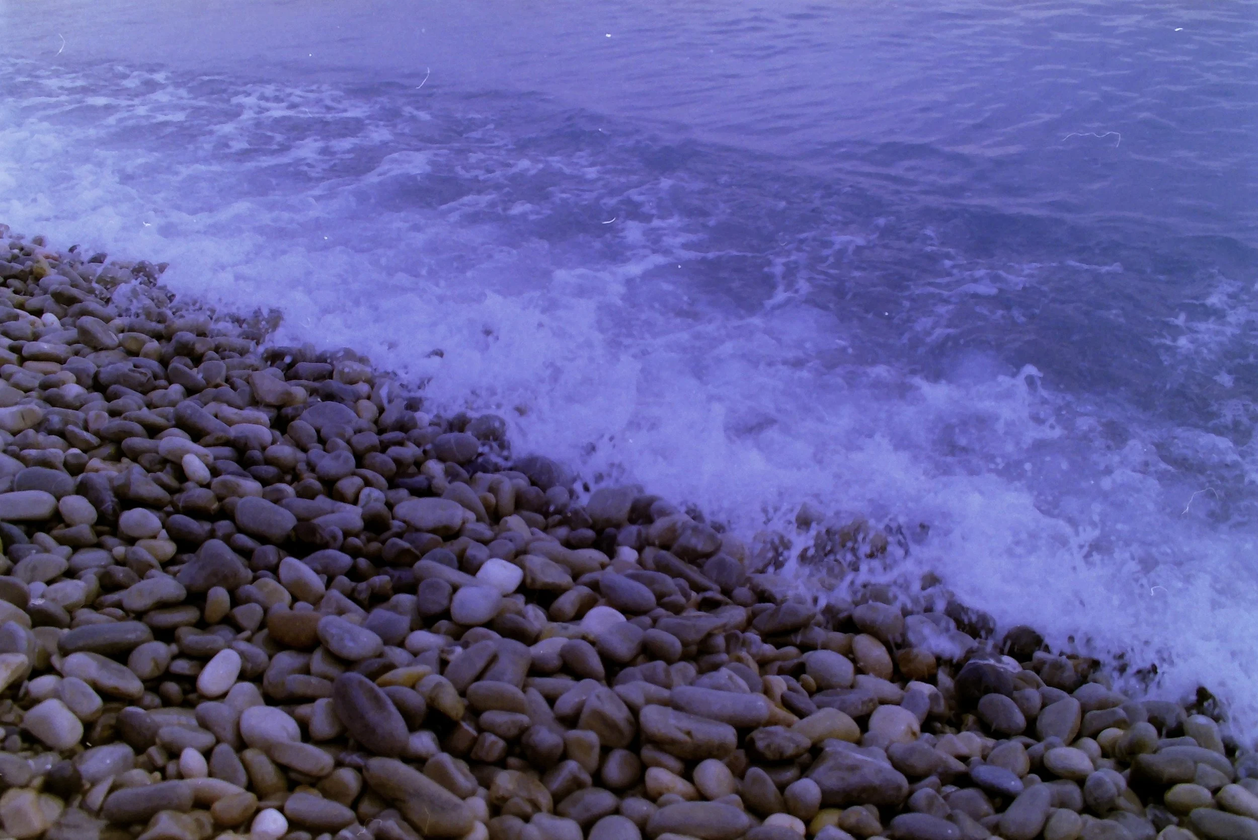 Copy of IMG00528.JPG