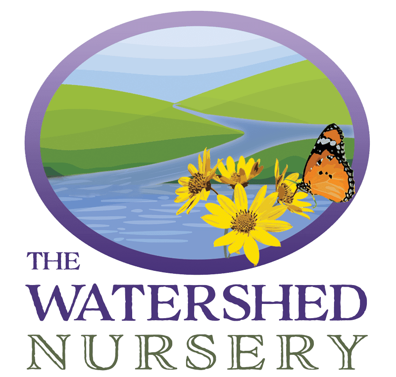 Illustration of a scenic watershed with a river flowing through green hills, featuring yellow flowers and a butterfly.