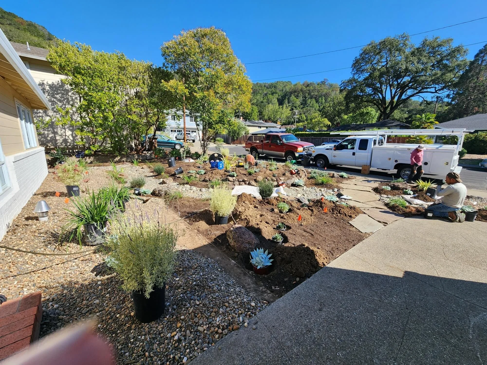 A person working on a landscaping project in a front yard with plants, rocks, and garden tools, with trucks and cars parked on the street and trees and hills in the background.